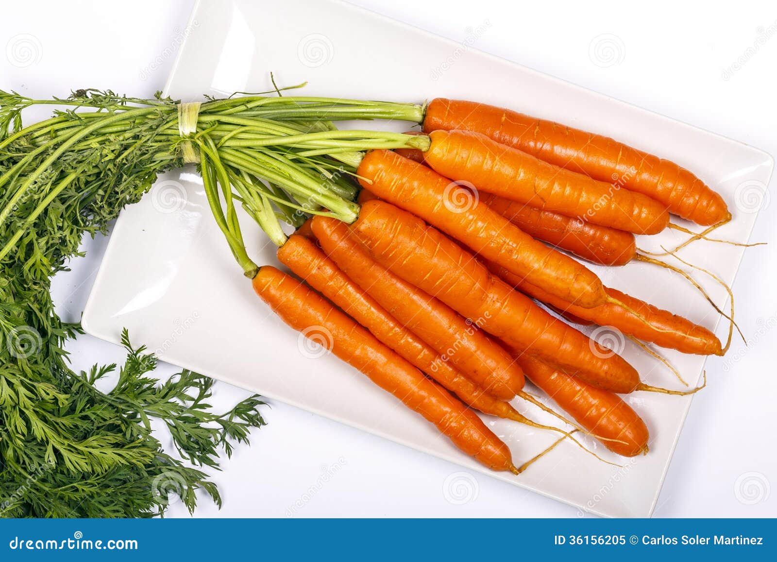 Freshly Washed Whole Carrots Stock Image Image of crunchy, natural