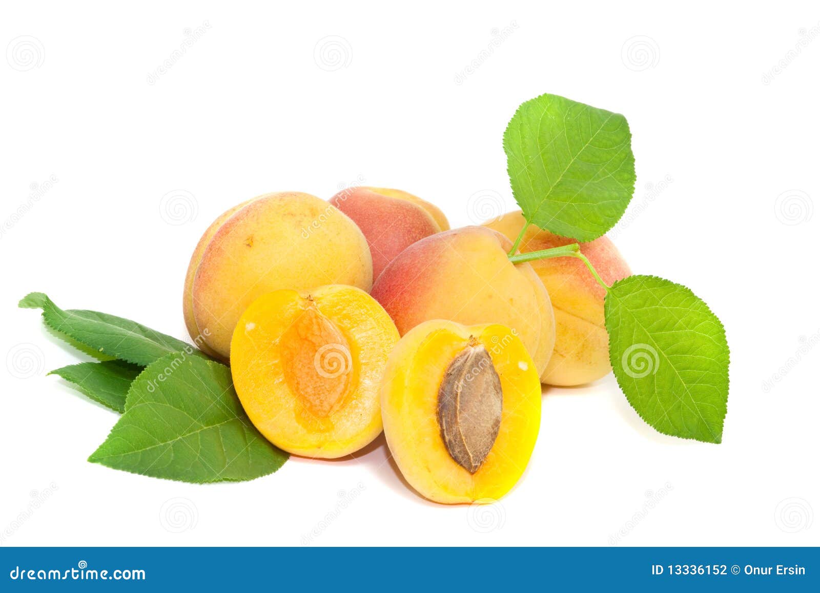 freshness apricot