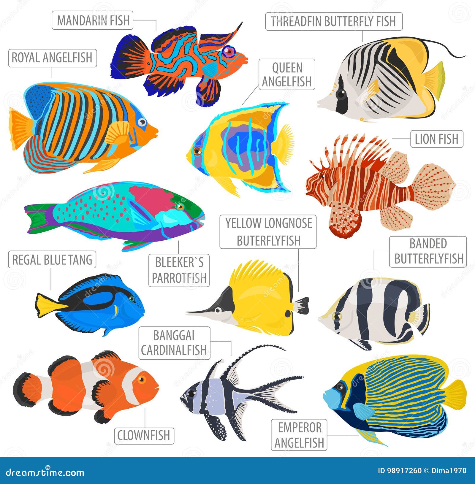 Freshwater Aquarium Fish Breeds Icon Set Flat Style Isolated on