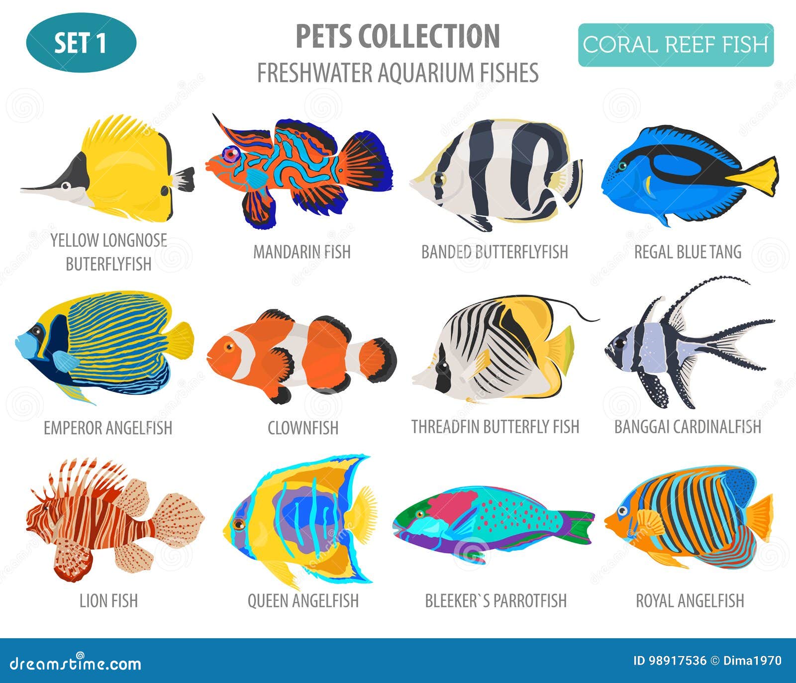 Freshwater Fish Identification Chart