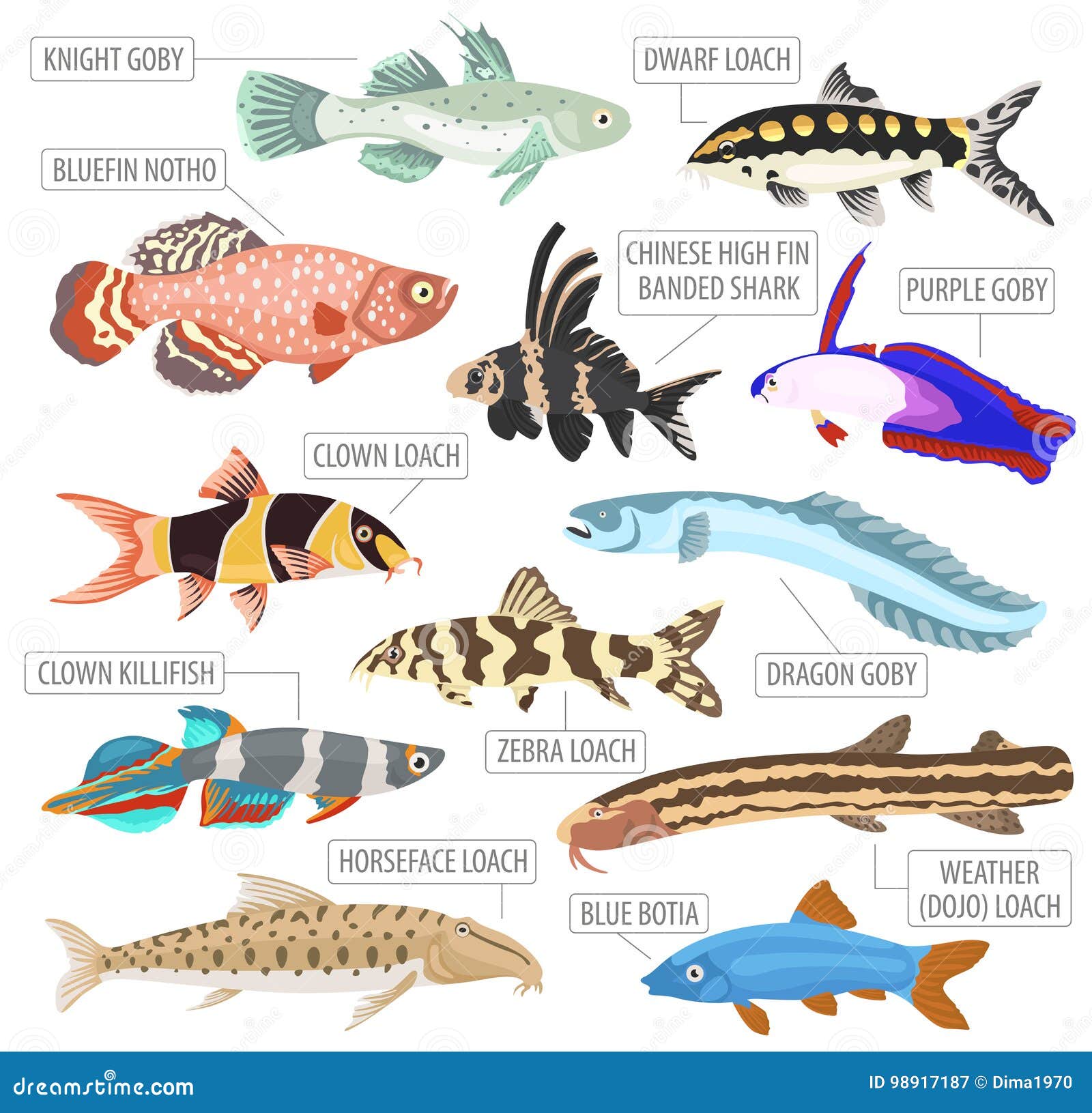 Freshwater Aquarium Fishes Breeds Icon 