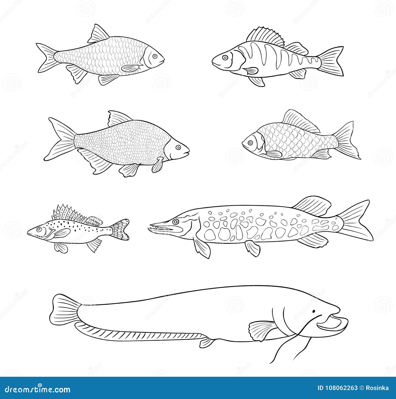 Download Freshwater Fish In Outlines - Vector Illustration Stock ...