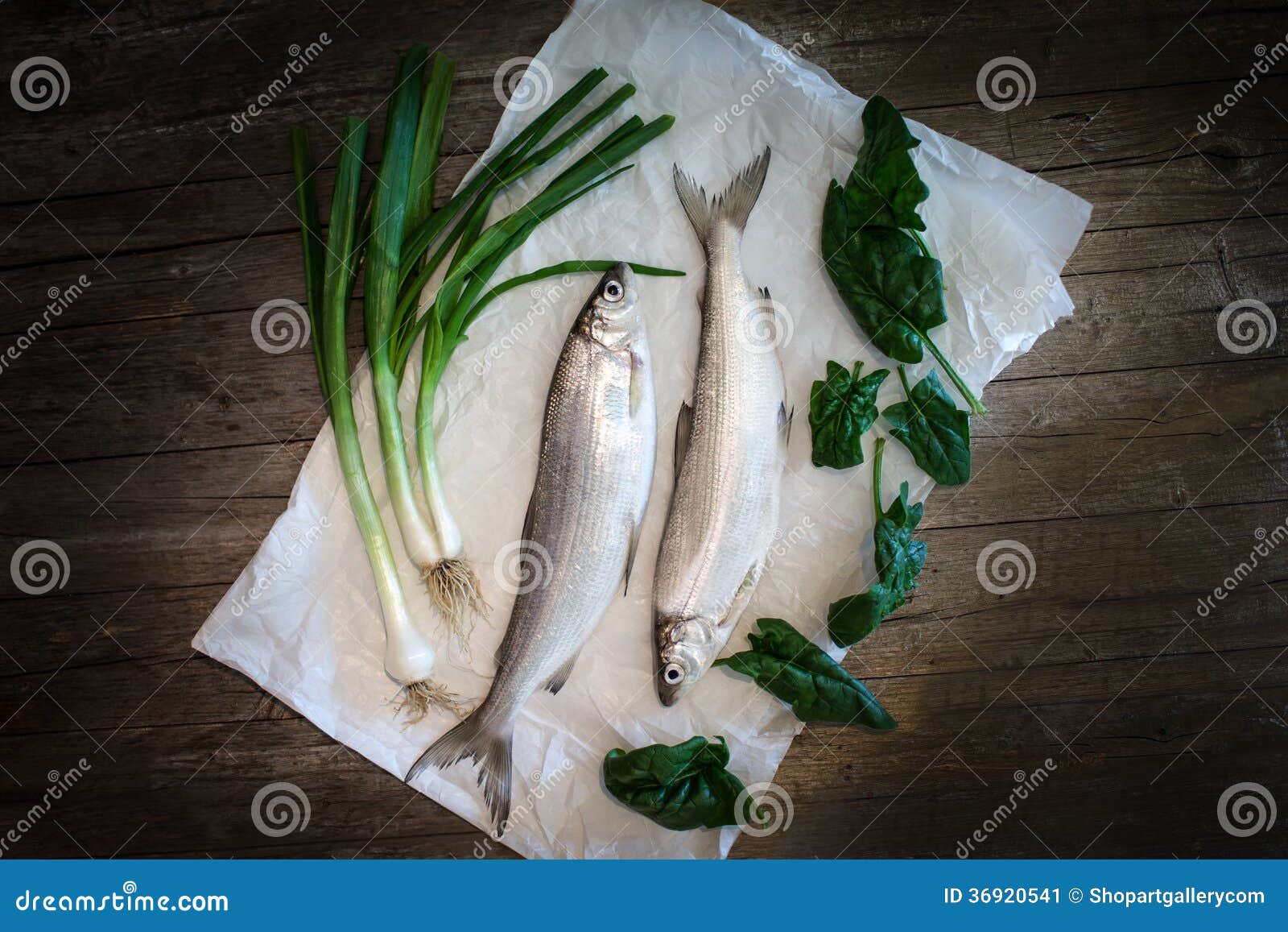 freshwater whitefish (coregonus lavaretus)