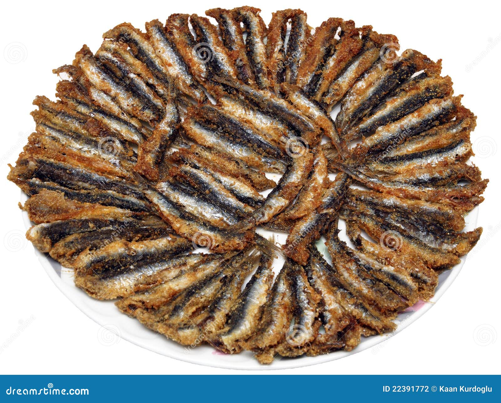 Fried anchovy stock photo. Image of turkish, cook, black 22391772
