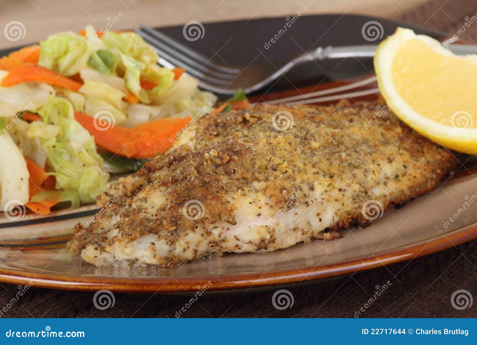 Fried Catfish Fillet stock photo. Image of closeup, breaded 22717644