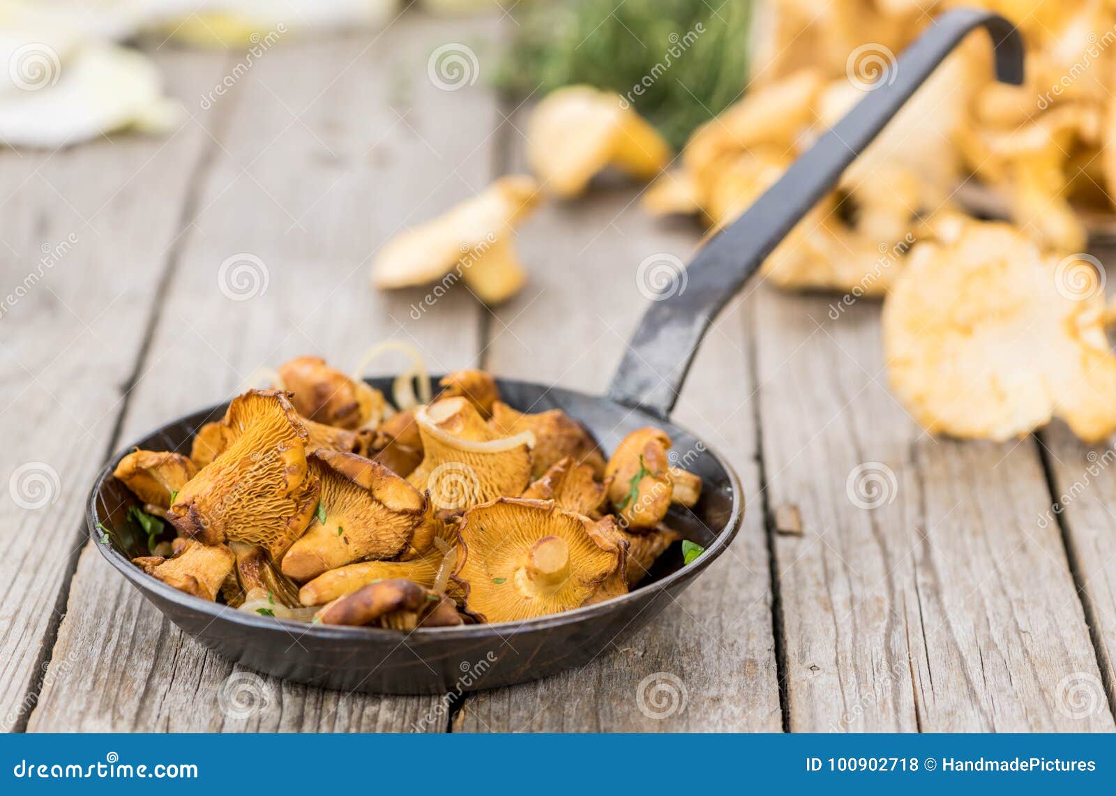 Fried Chanterelles Hecho Fresco Foto de archivo Imagen de hongo, seta 100902718