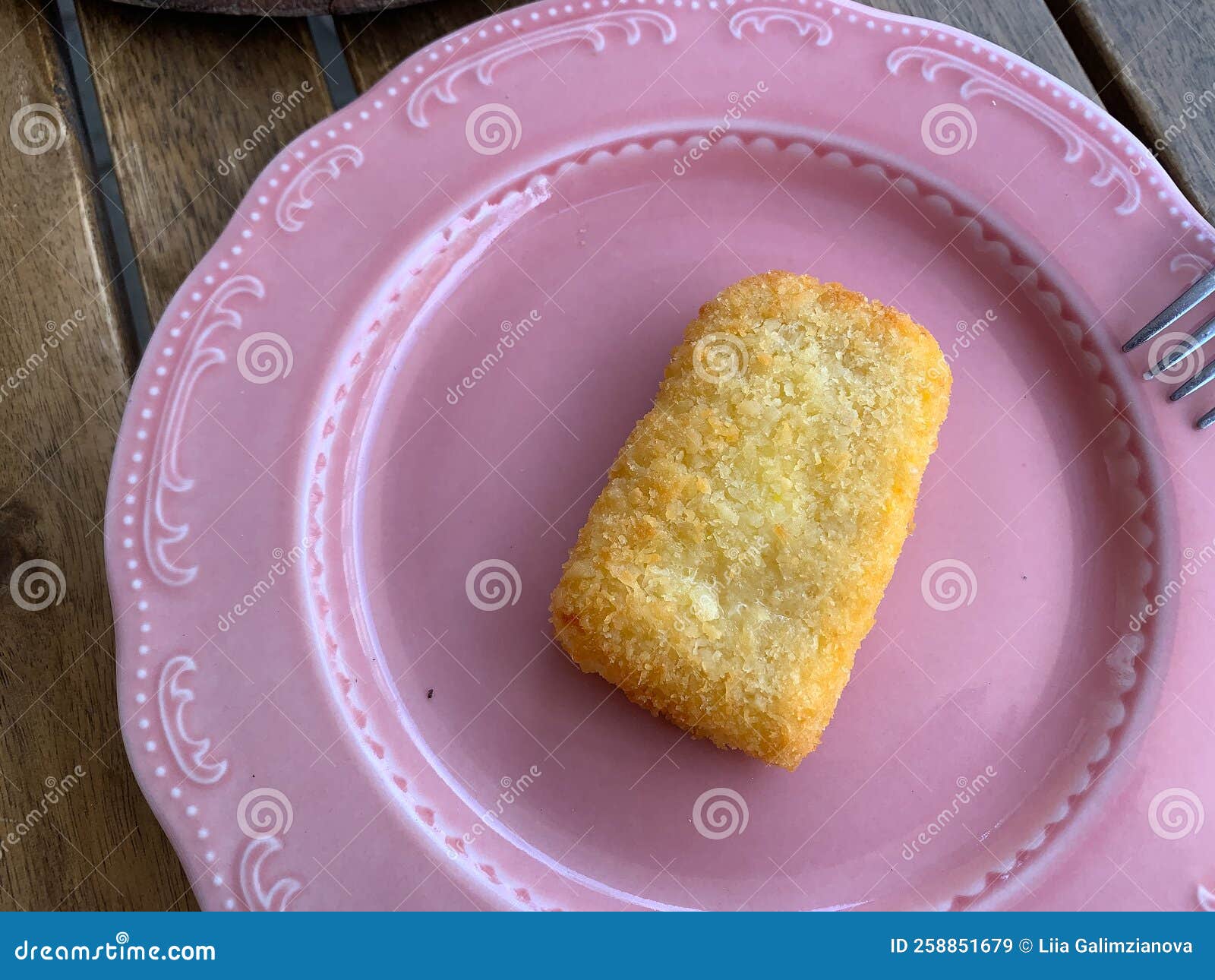 Fried cheese on a plate stock image. Image of delicious 258851679