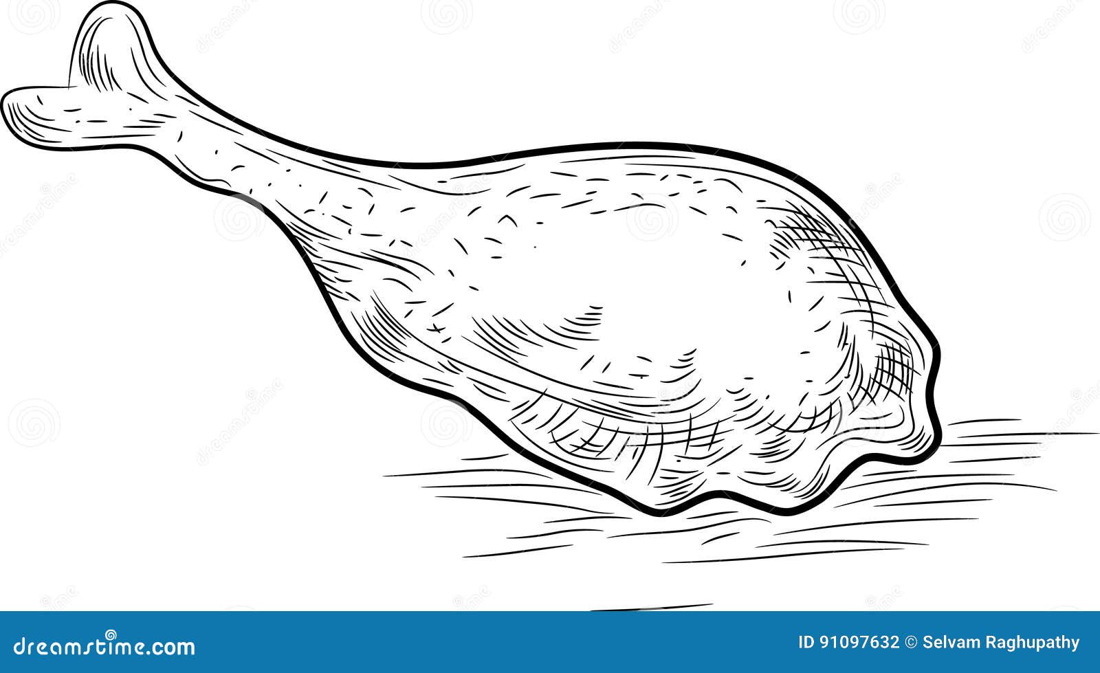 Fried Chicken Leg Drawing