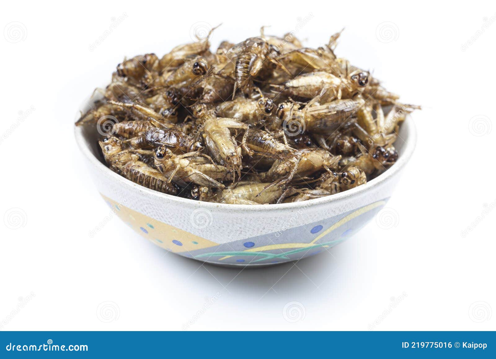 Fried Crickets is the Food in Thai Stock Photo Image of insect, organic 219775016