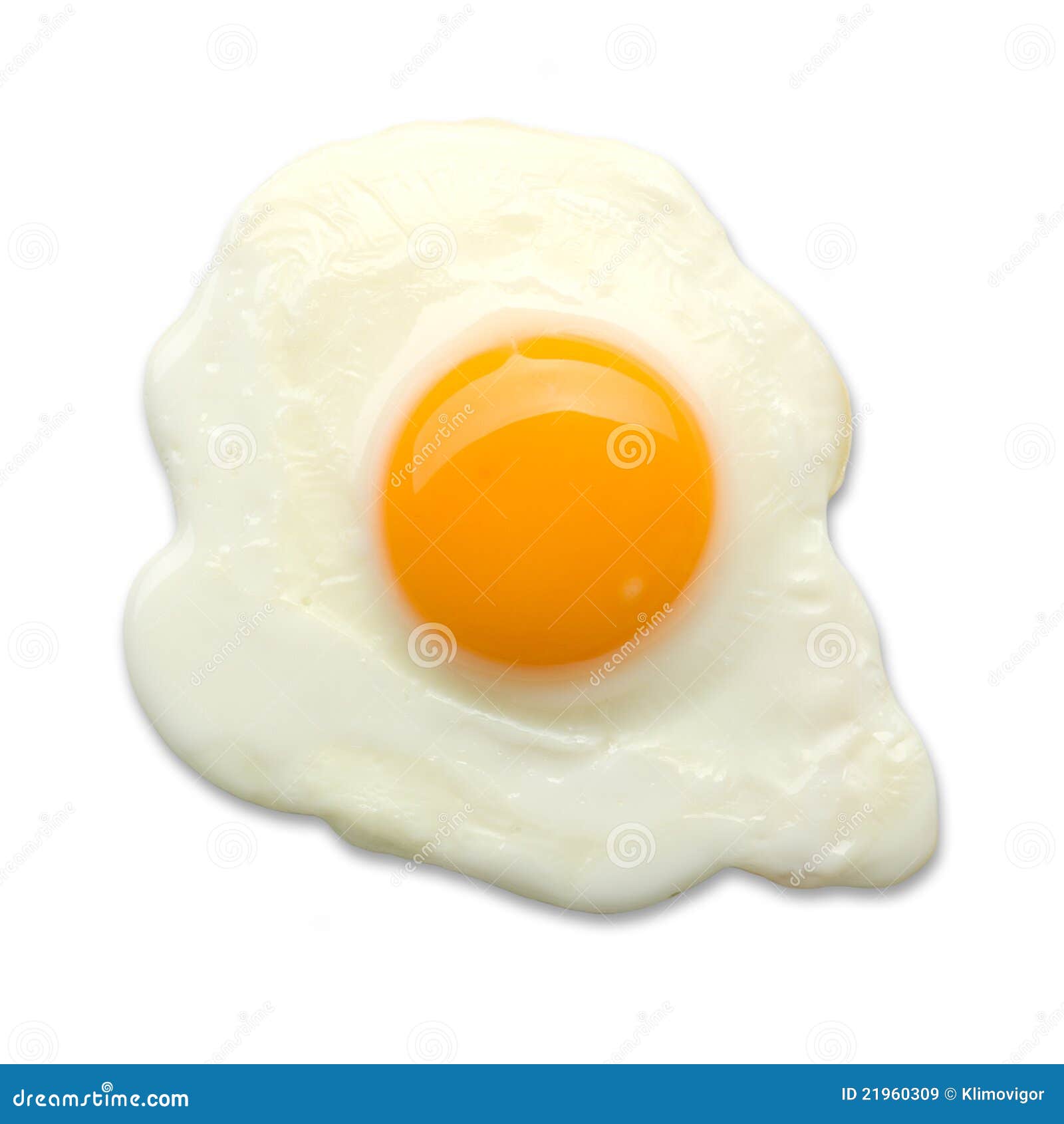 fried egg 