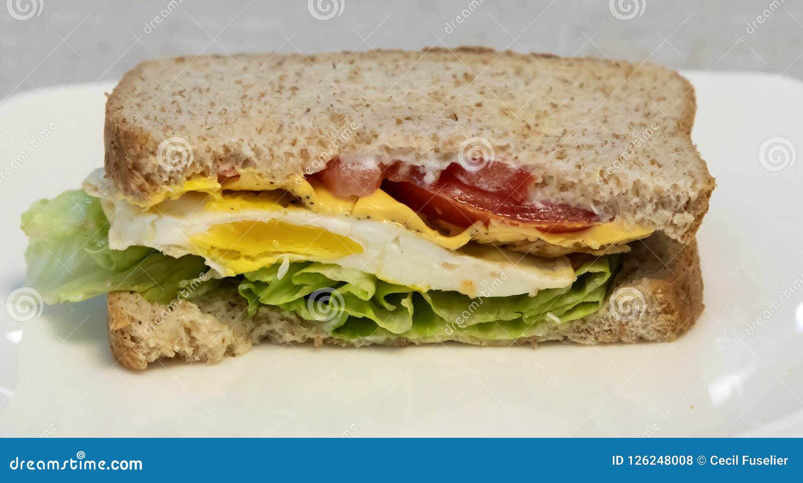 Fried Egg Sandwich on Wheat Bread Stock Photo Image of fried