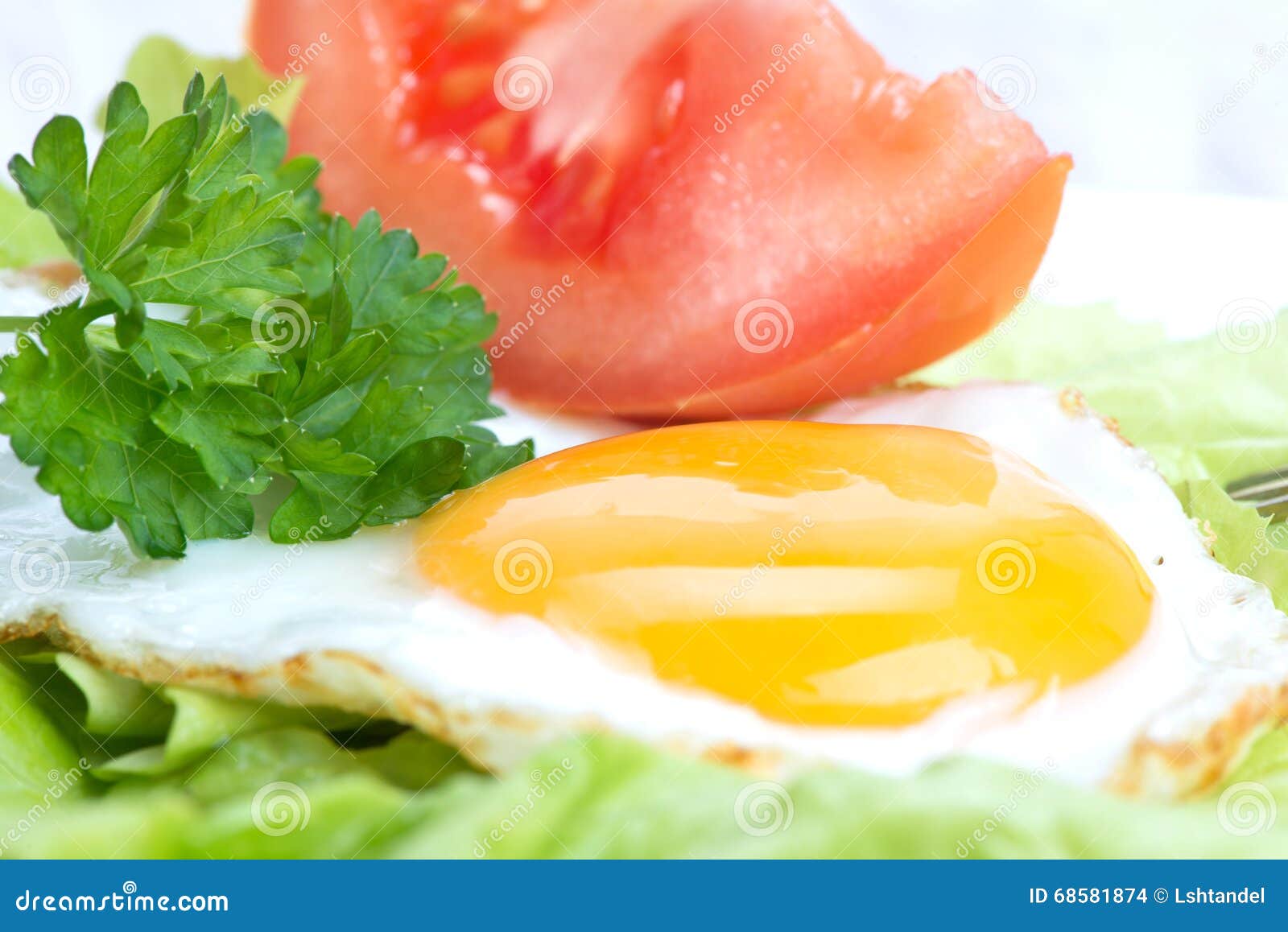 Fried Eggs, Lettuce, Parsley, Tomato Stock Photo Image of yolk, slice