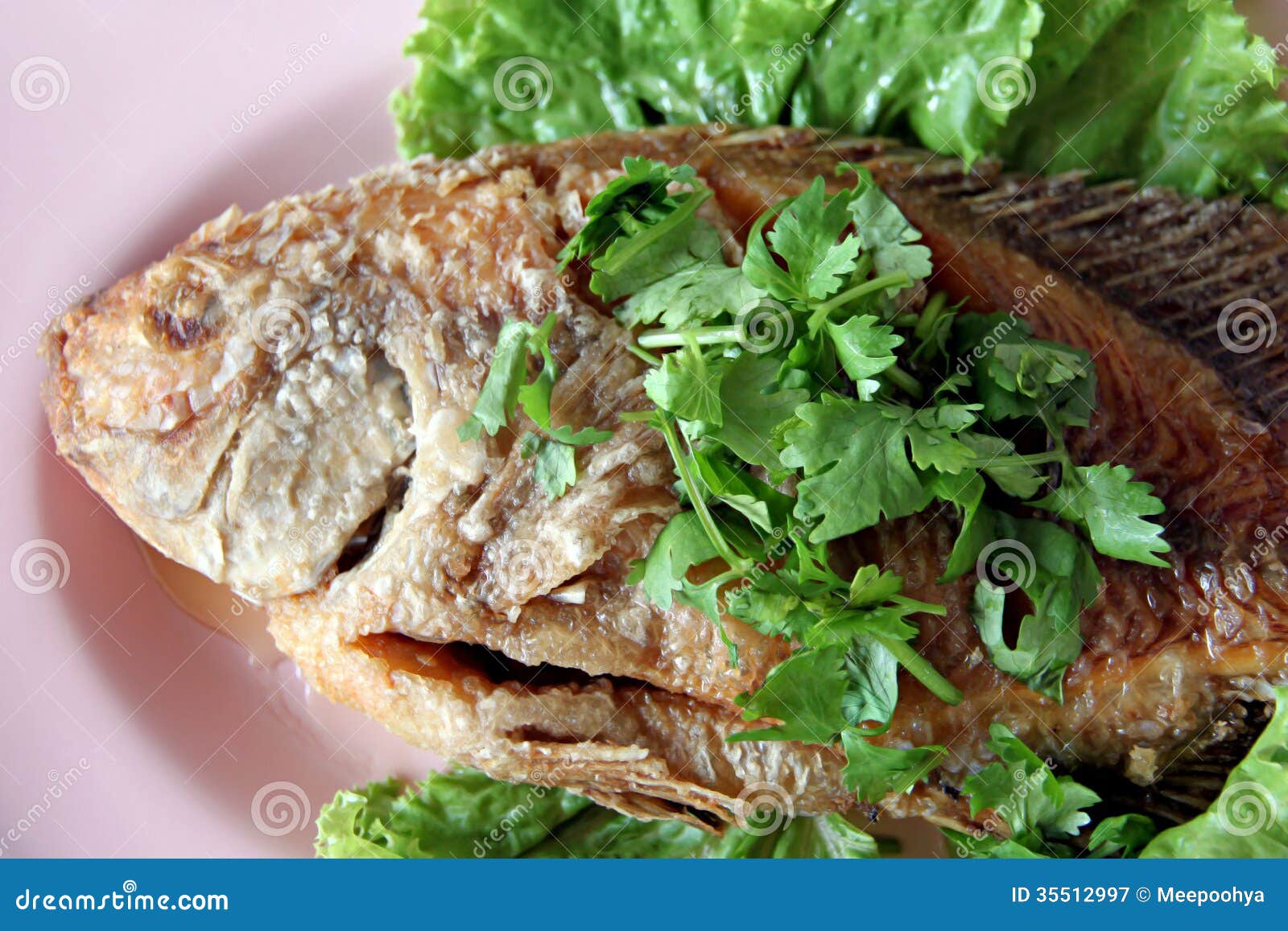 Fried Fish and Cilantro in the Dish. Stock Image Image of delicious
