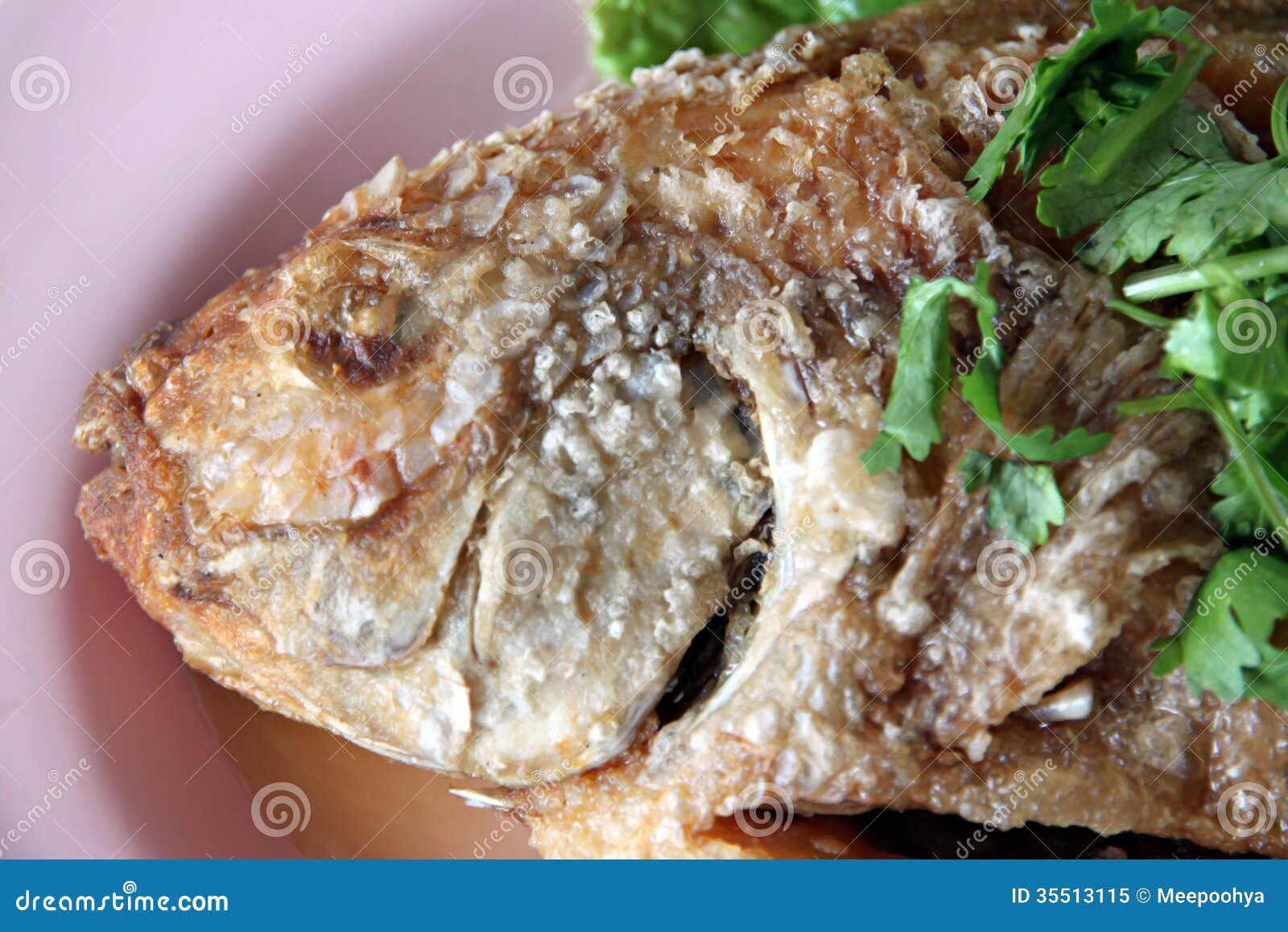 Fried Fish and Cilantro in the Dish. Stock Image Image of animal