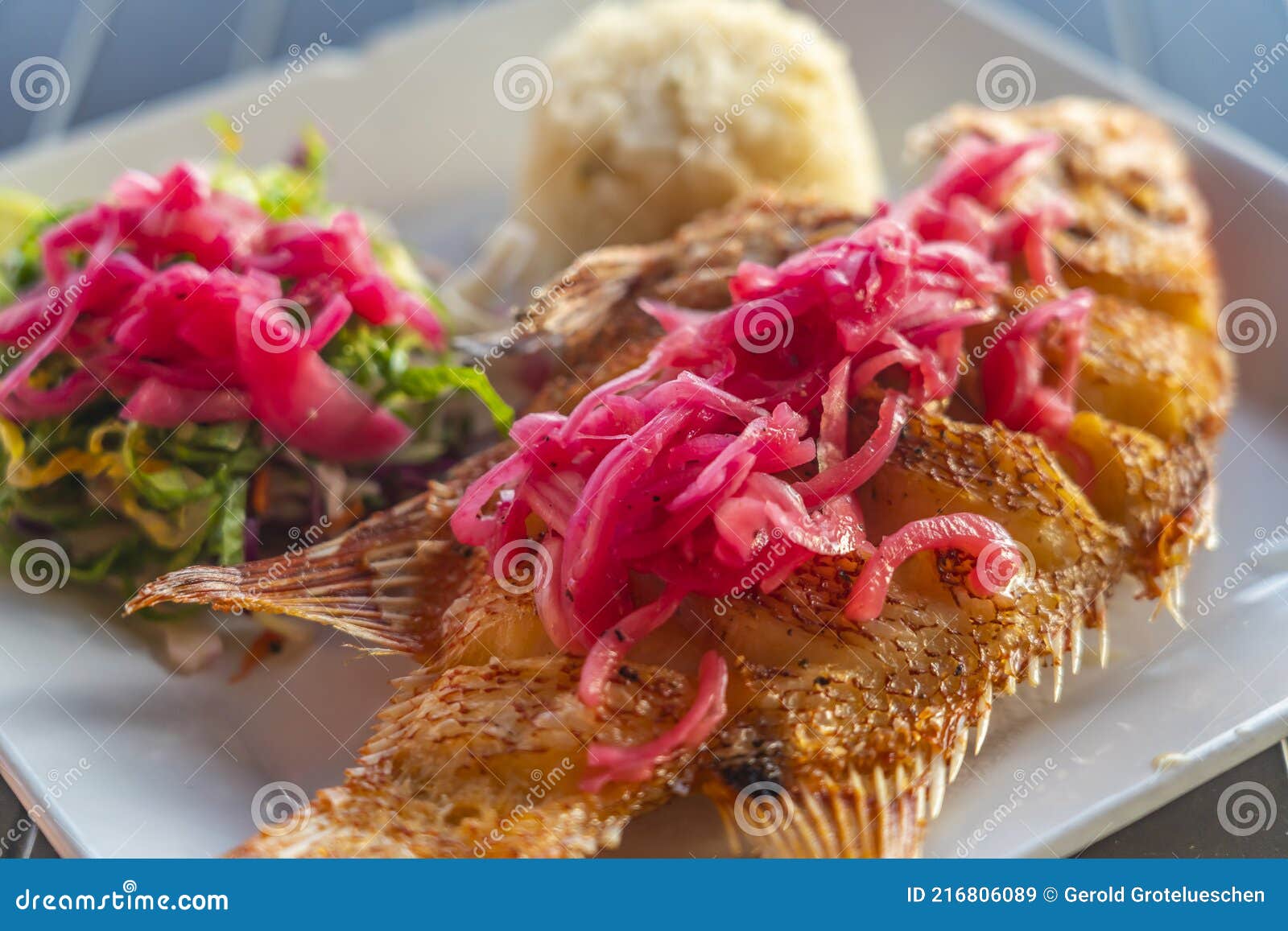 Fried Fish Platter in Mexico, with Rice, Vegetables and Red Onion Stock