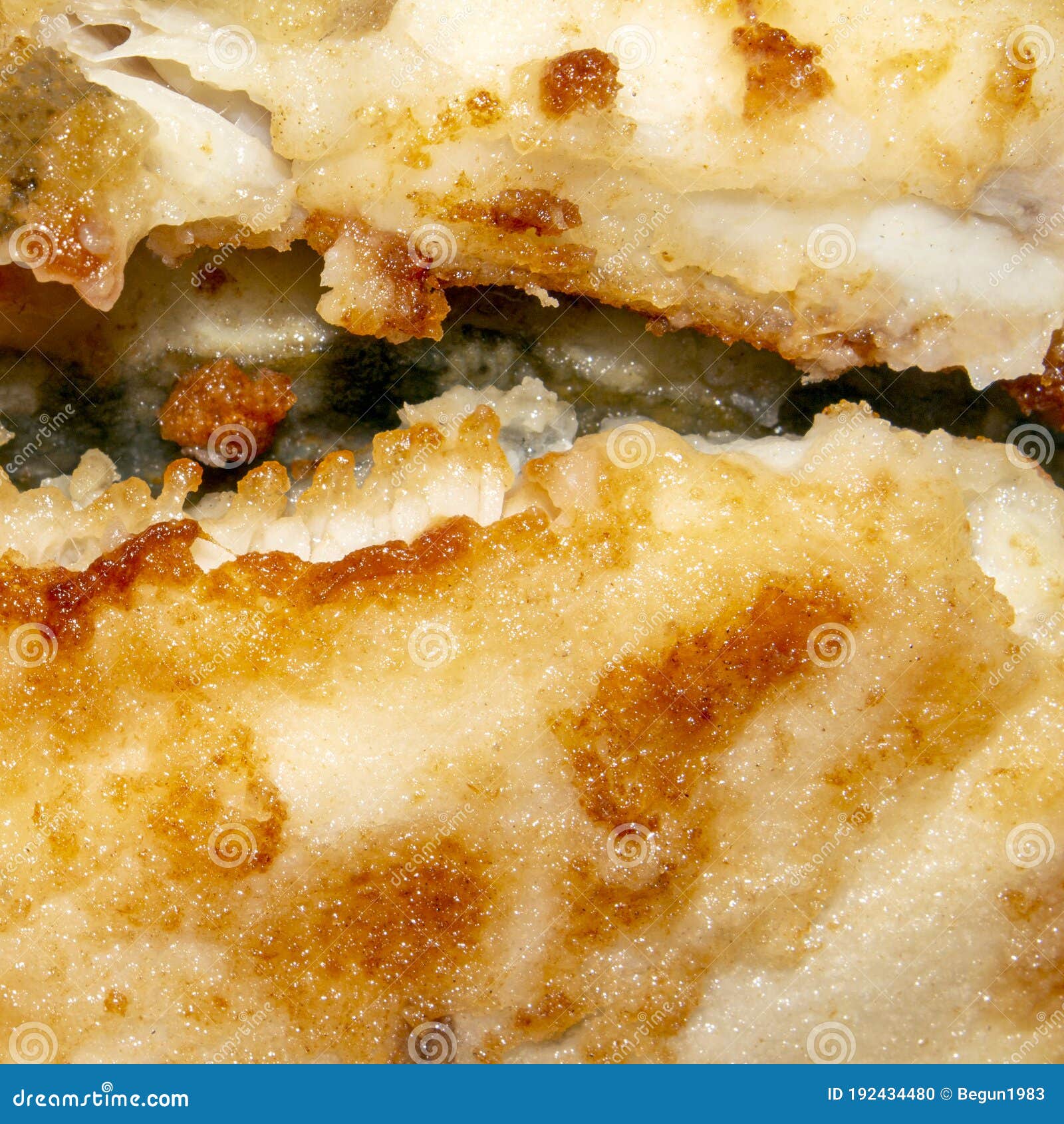 Fried Fish Flounder.Background of Fried Flounder. Stock Photo Image
