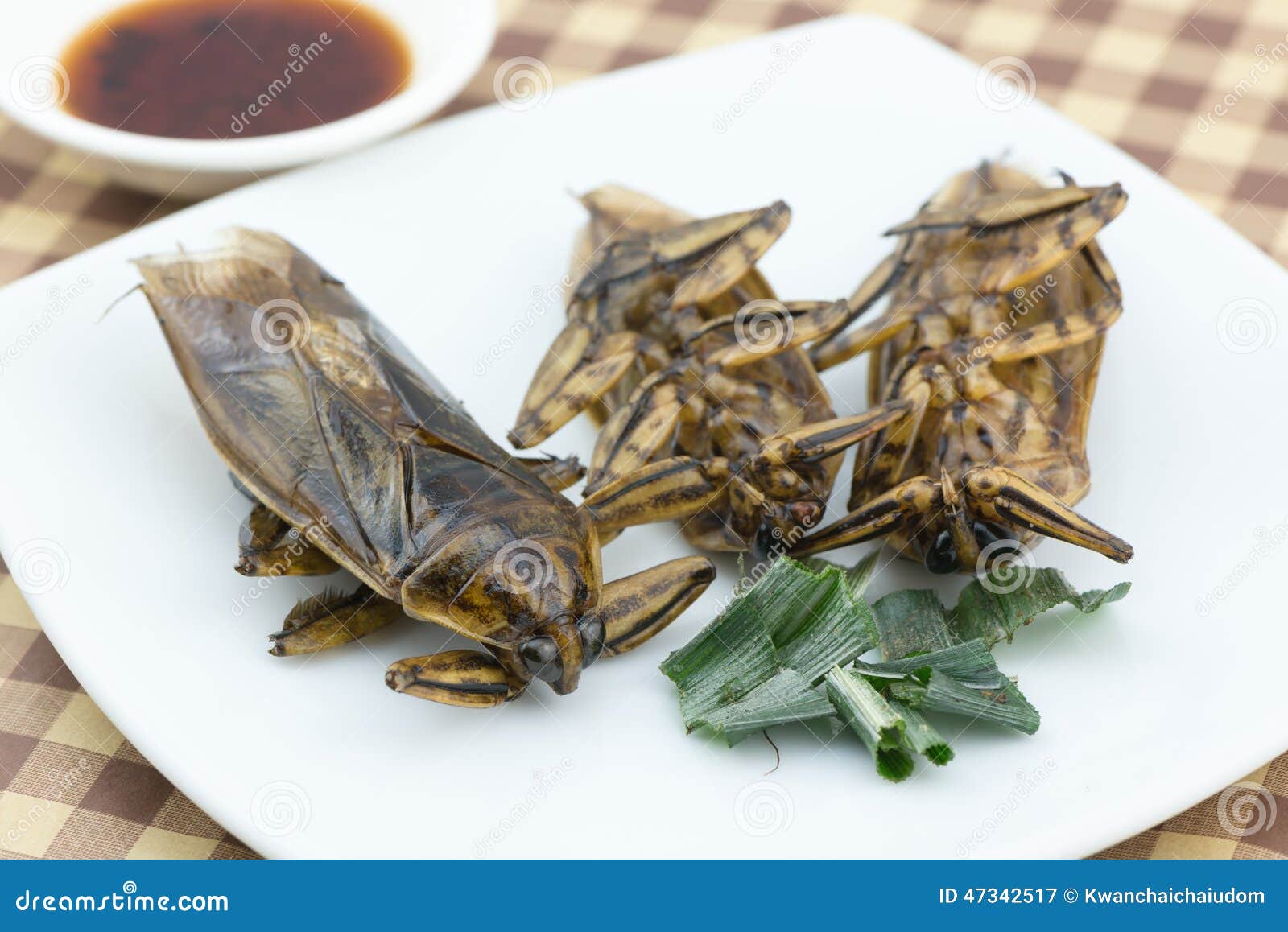 Fried Giant Water Bug on Dish Stock Image Image of lunch, culture