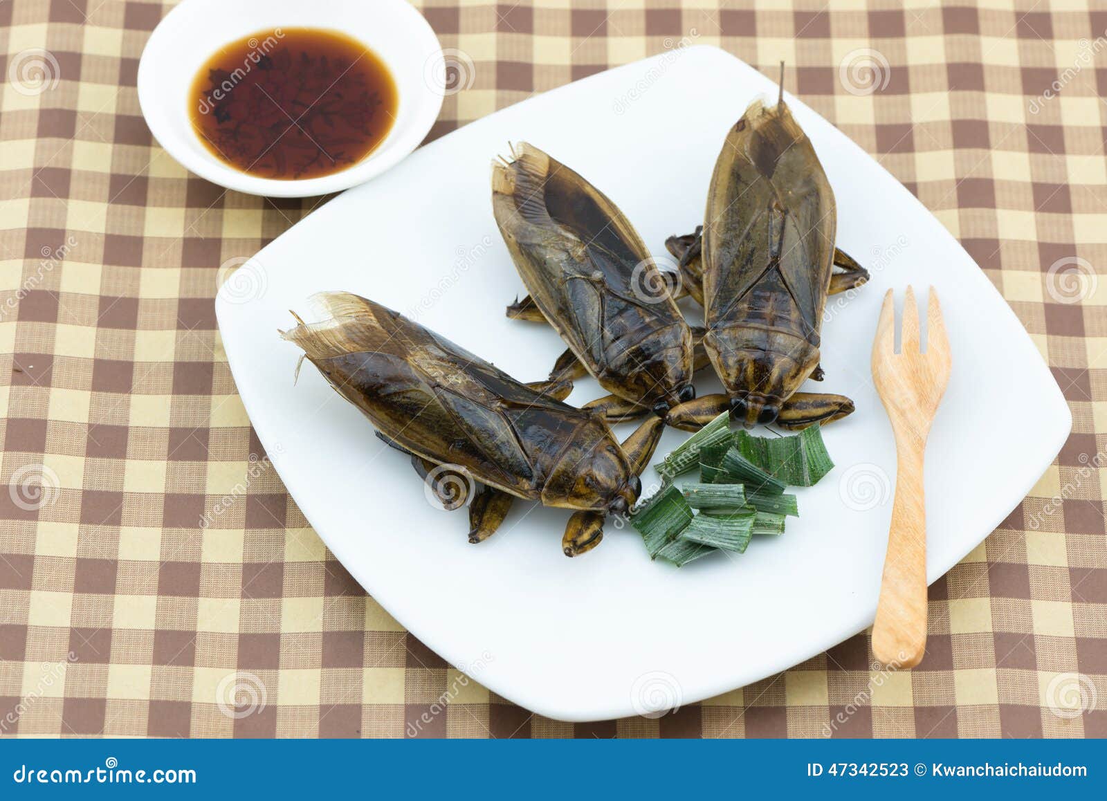 Fried Giant Water Bug on Dish Stock Image Image of culture, diet