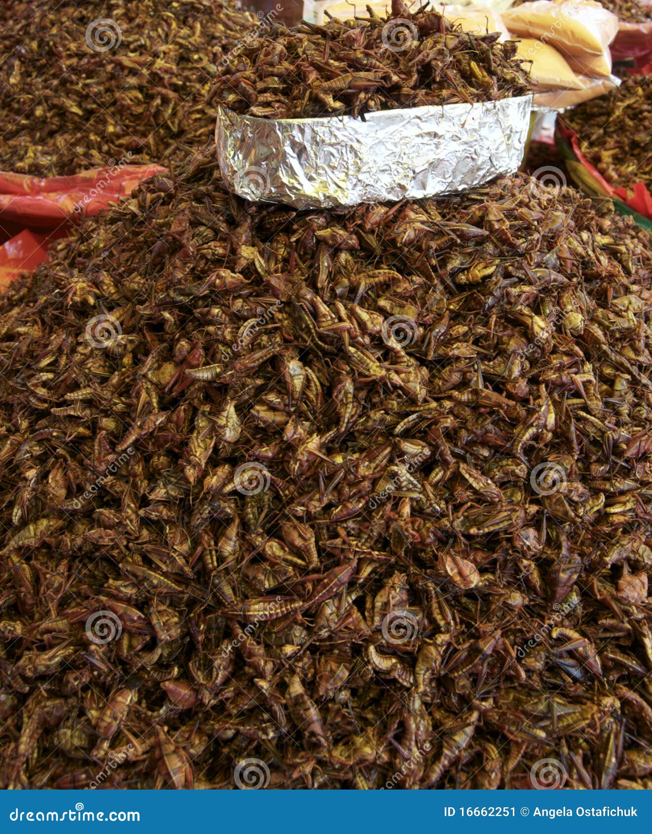 Fried stock image. Image of food, edible 16662251