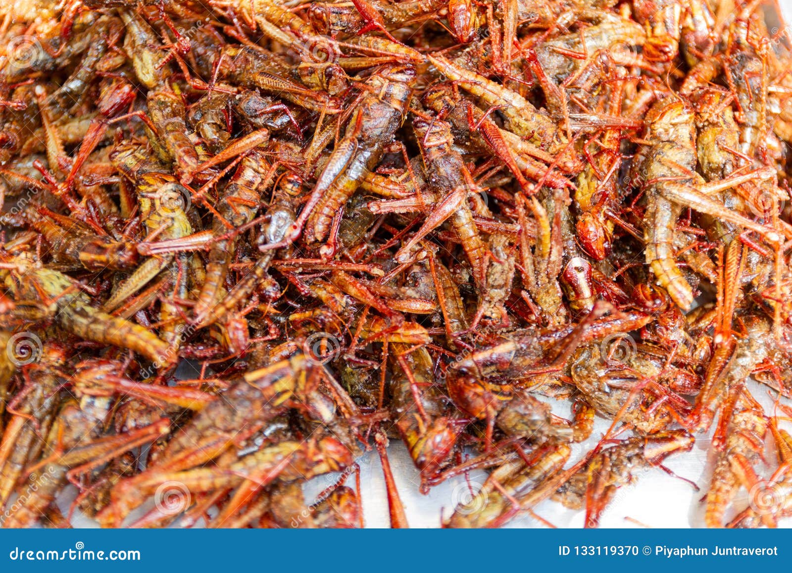 fried-insects-grasshopper-insect-crispy-thai-food-street-market-available-bangkok-thailand-133119370.jpg