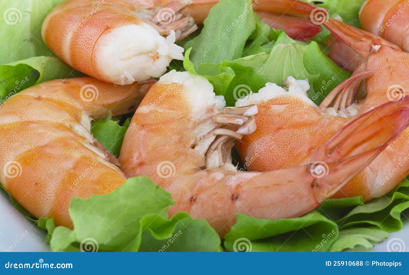Fried Jumbo Shrimp stock photo. Image of fresh, freshness - 25910688