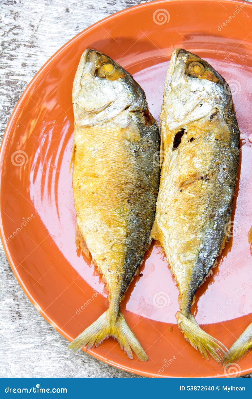 Fried Mackerel stock photo. Image of background, calories 53872640