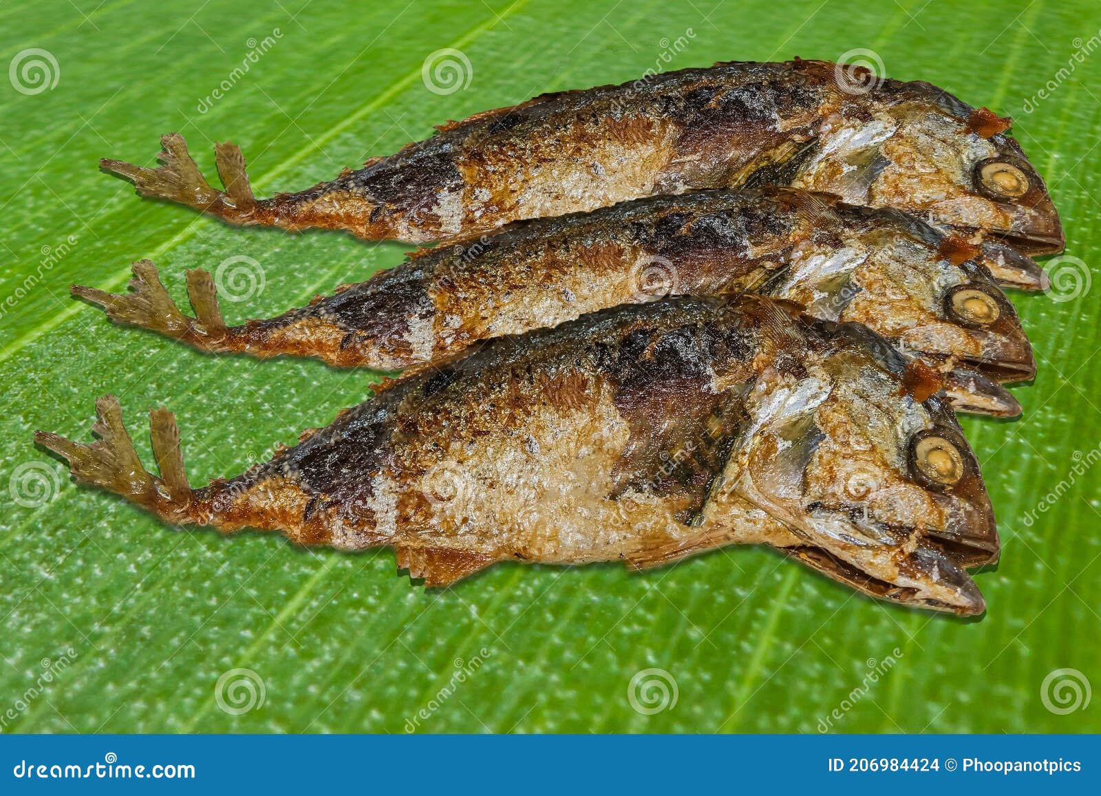Fried Mackerel on Green Banana Leave Stock Photo Image of dish, fried