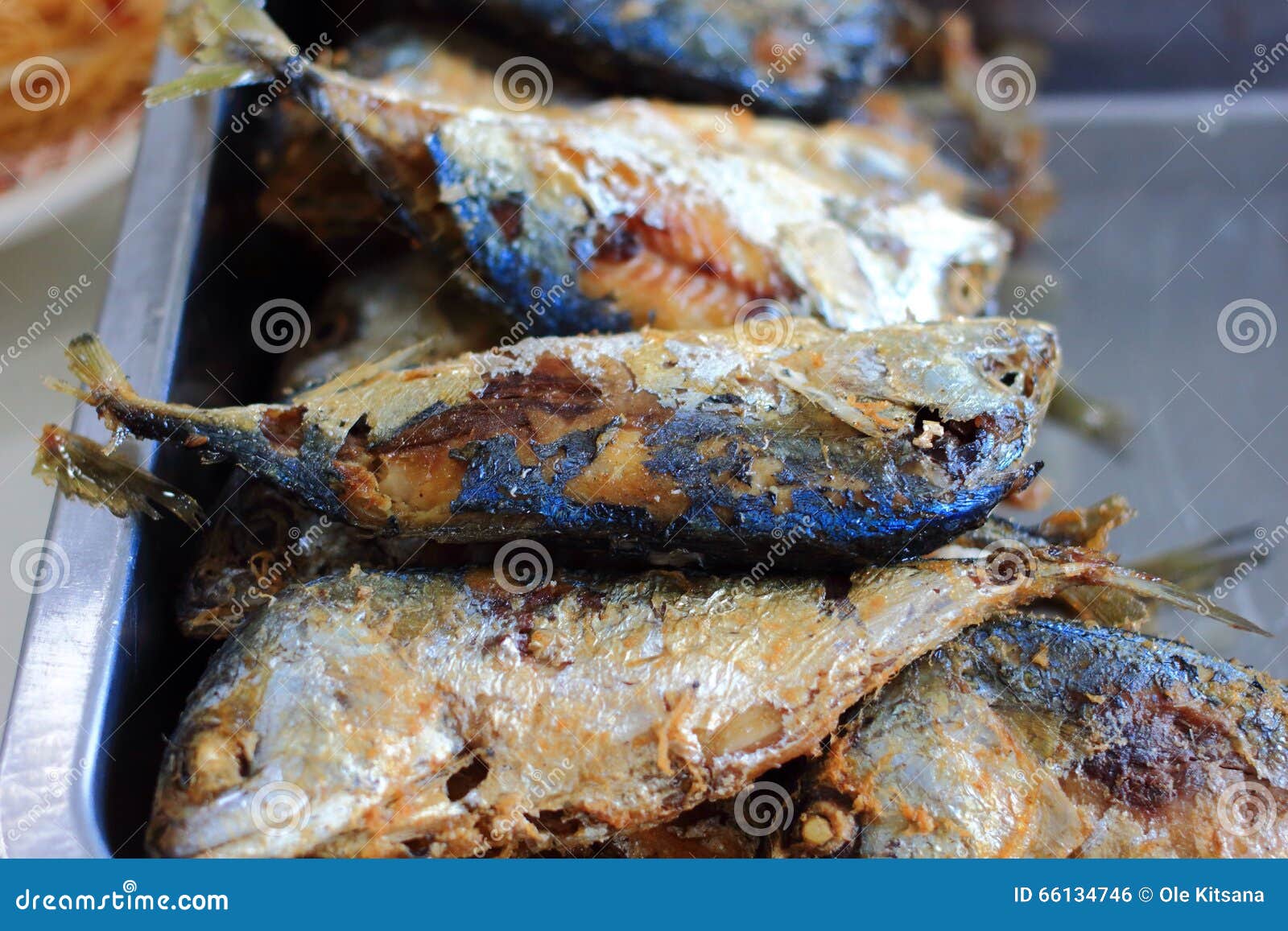 Fried mackerel stock photo. Image of eating, fried, mackerel 66134746