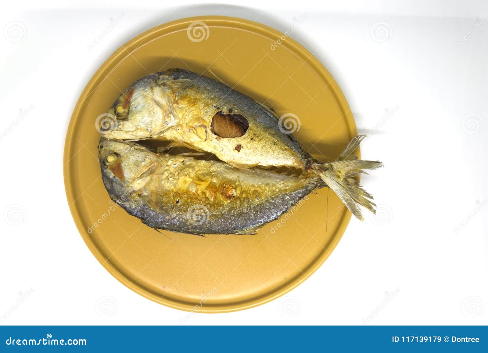 Fried Mackerel in Yellow Plate Stock Image Image of feed, diet 117139179