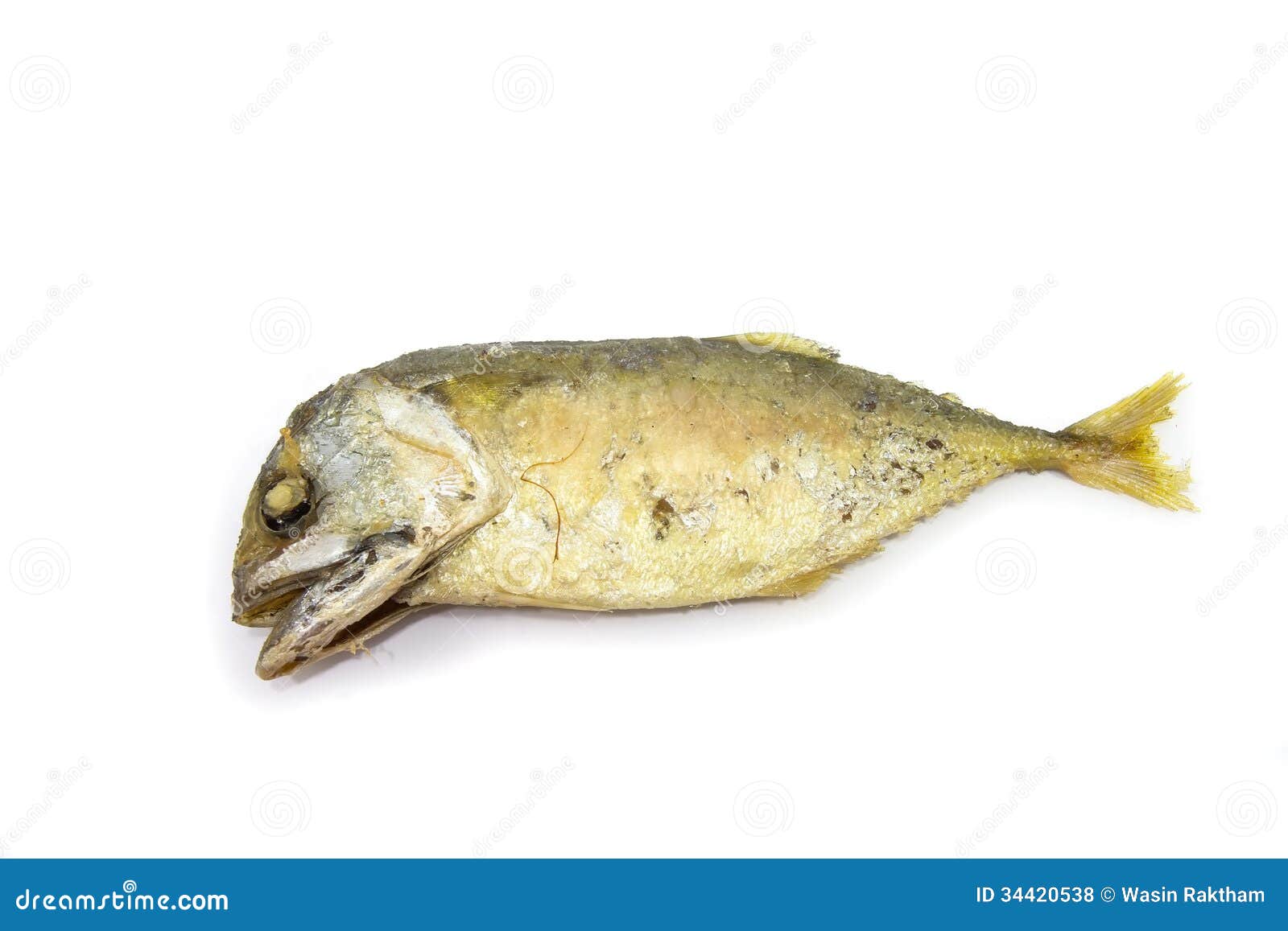 Fried mackerel stock photo. Image of healthy, restaurant 34420538
