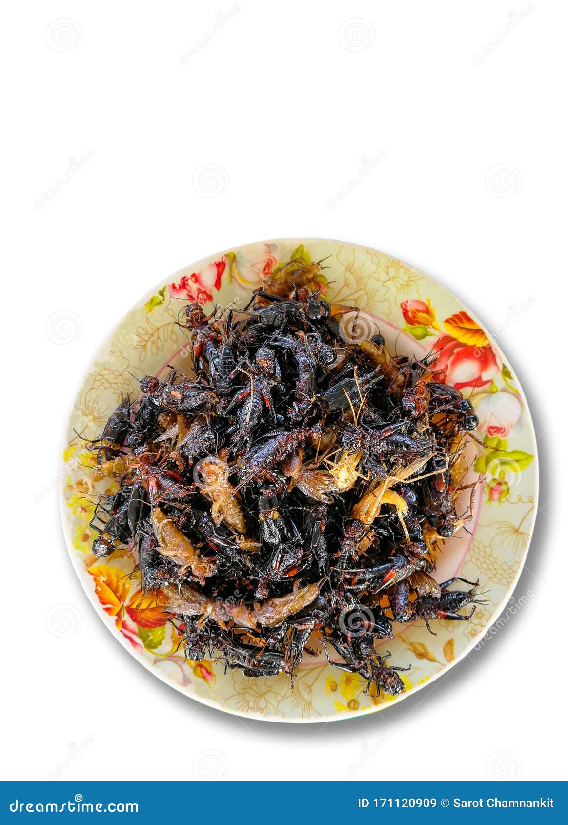Fried Mole Crickets and Cricket in the Plates. Stock Image Image of