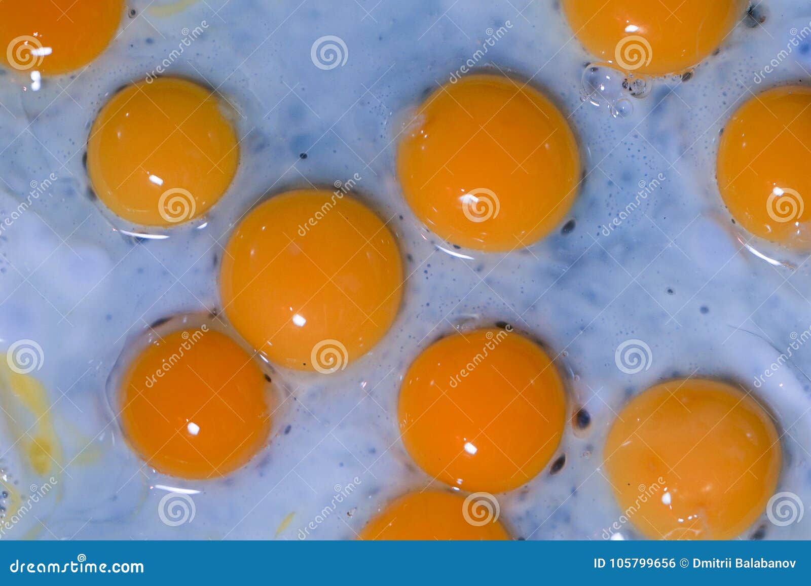 Fried Quail Eggs in a Pan Closeup. Macro Stock Photo Image of heat