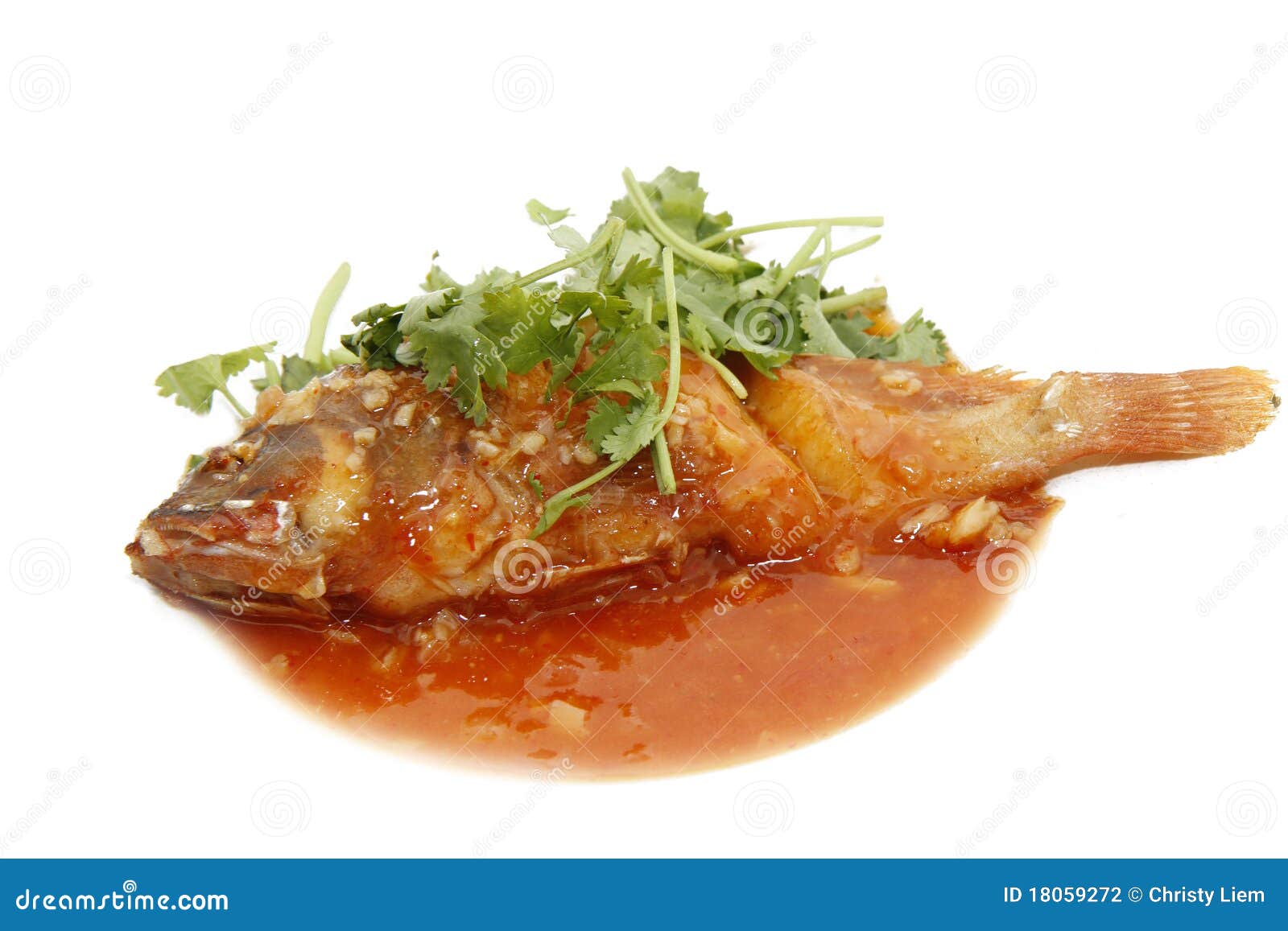 Fried Red Grouper Fish Tomato Sauce Stock Photo Image of lettuce