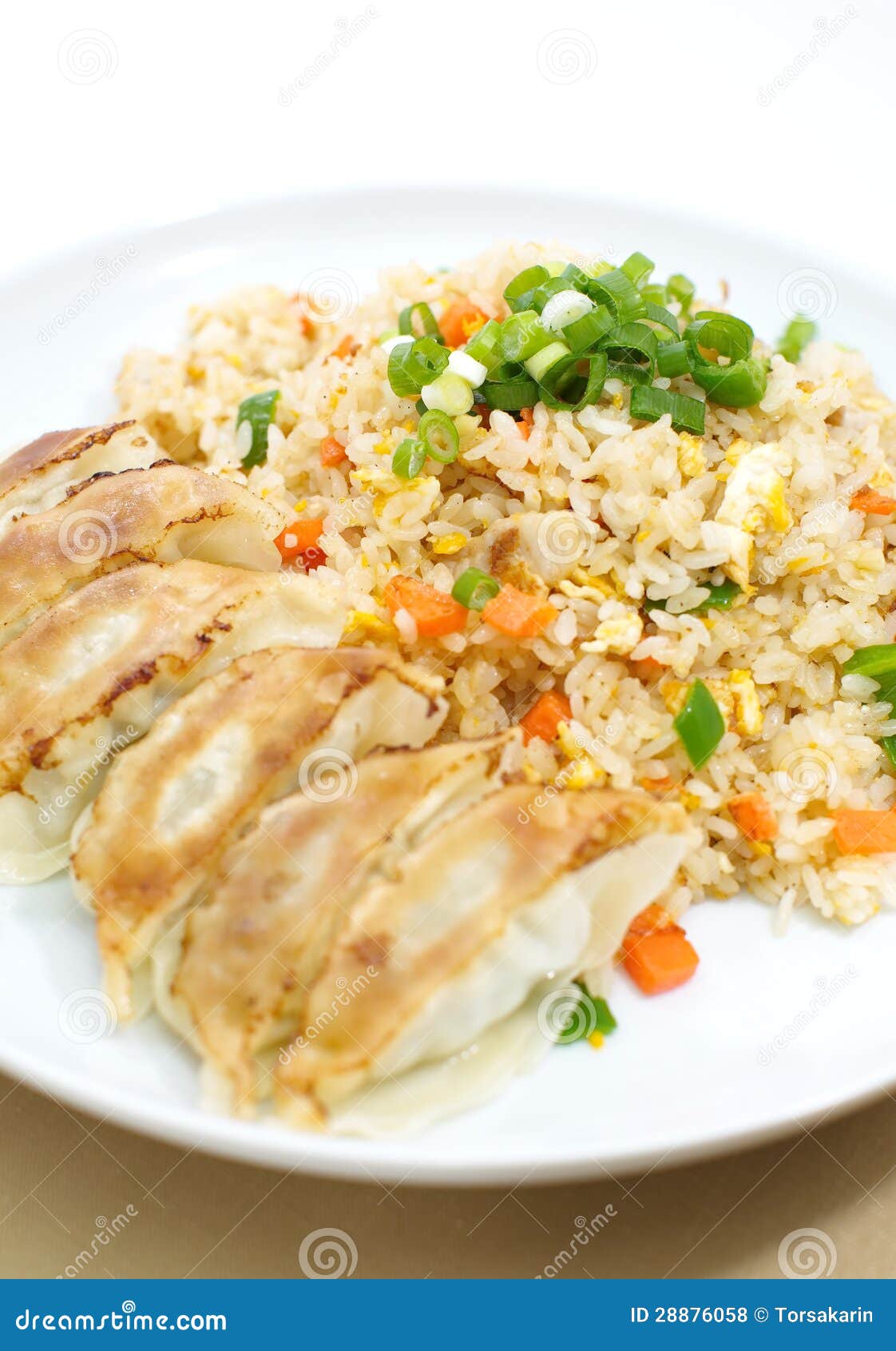 Fried Rice with Fried Dumplings Set Stock Photo Image of pepper