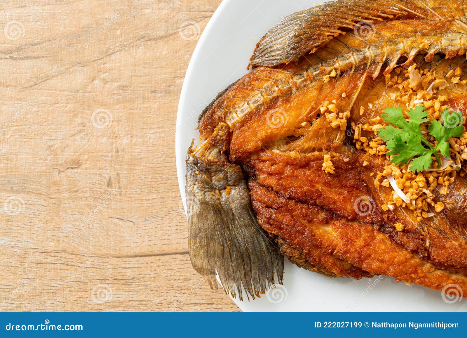 Fried Sea Bass Fish with Garlic Stock Image Image of tasty, fresh