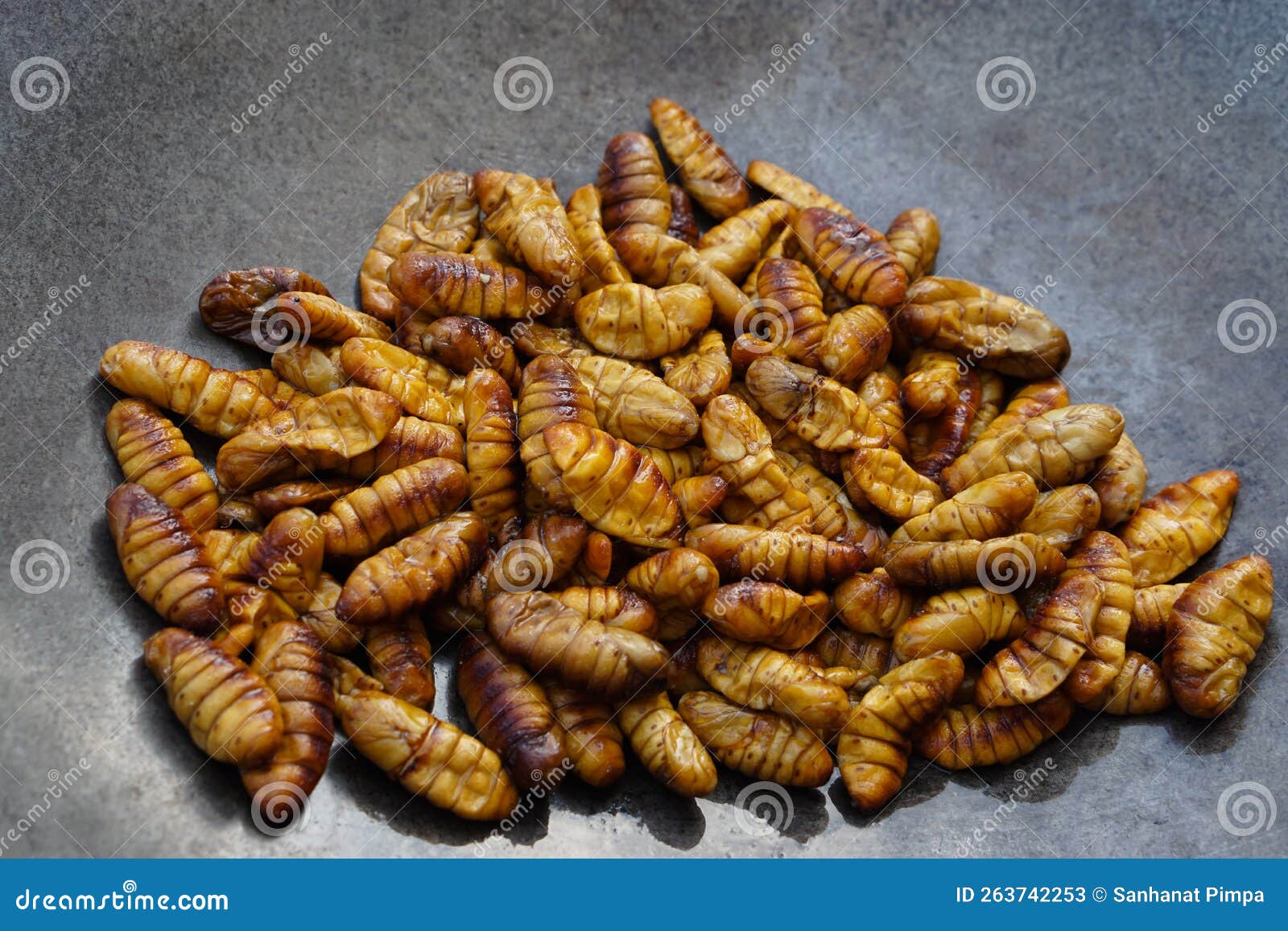 Fried Silk Worms, Weird Food. Insects Eating. Stock Image - Image of  agriculture, health: 263742253