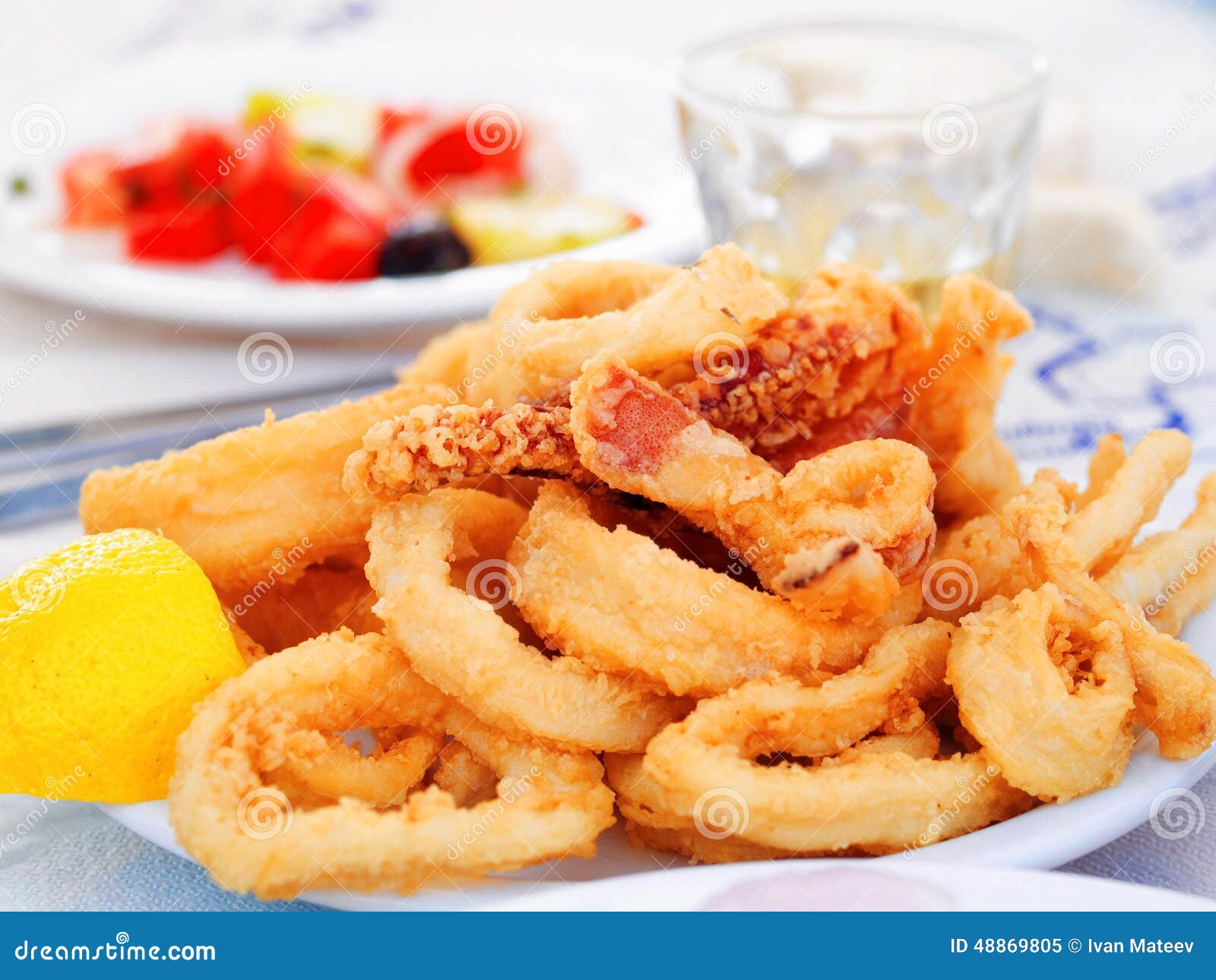 Fried squid stock image. Image of seafood, greek, front - 48869805