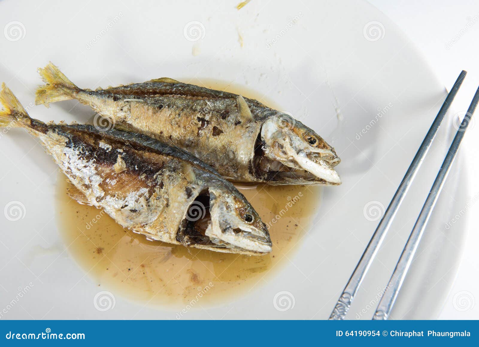 Fried Tuna fish sauce stock photo. Image of food, deep 64190954