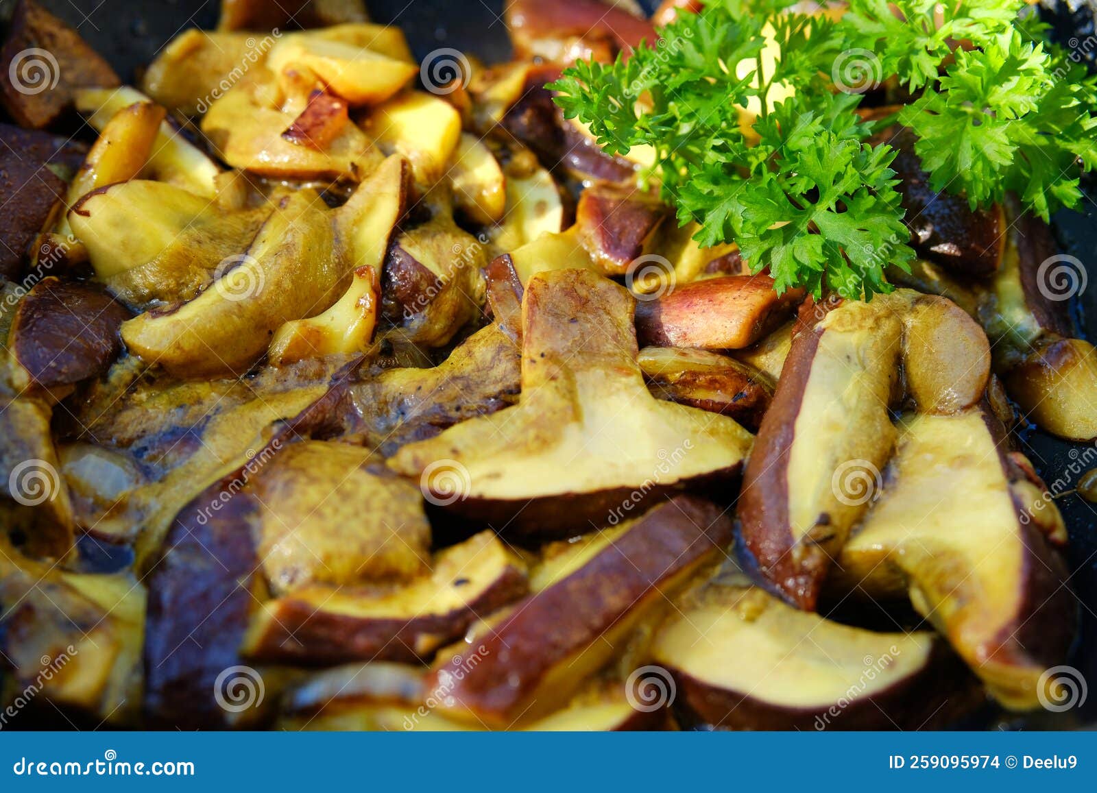 Fried Wild Mushrooms (boletus Stock Photo Image of porcini, mushroom