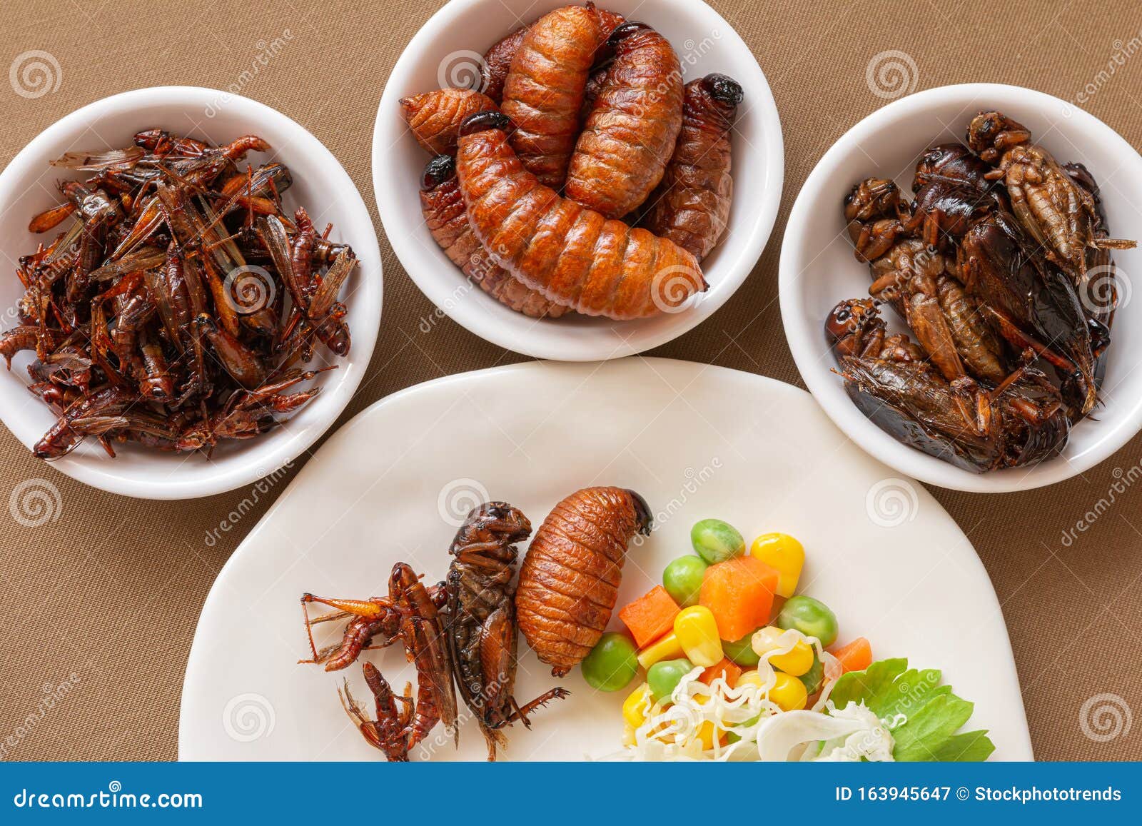 Fried Worm, Insect Food with Vegetable Salad in the White Bowl. Healthy  Meal High Protein Diet Concept Stock Image - Image of medicine, dipping:  163945647