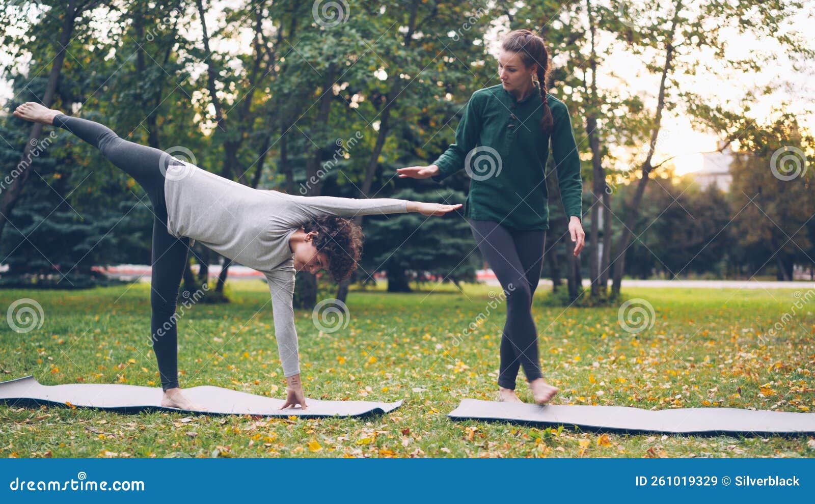 Yoga Student Standing In Ardha Chandrasana Or Half Moon Pose Leaning On  Chair Stock Photo - Download Image Now - iStock
