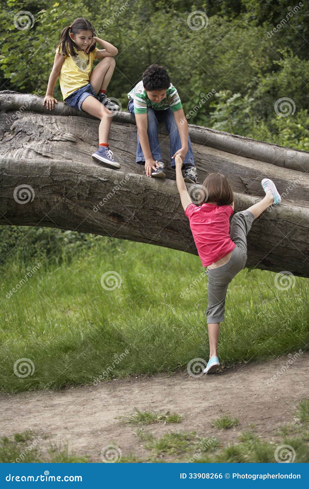 Friends Climbing on Fallen Tree Stock Photo Image of children