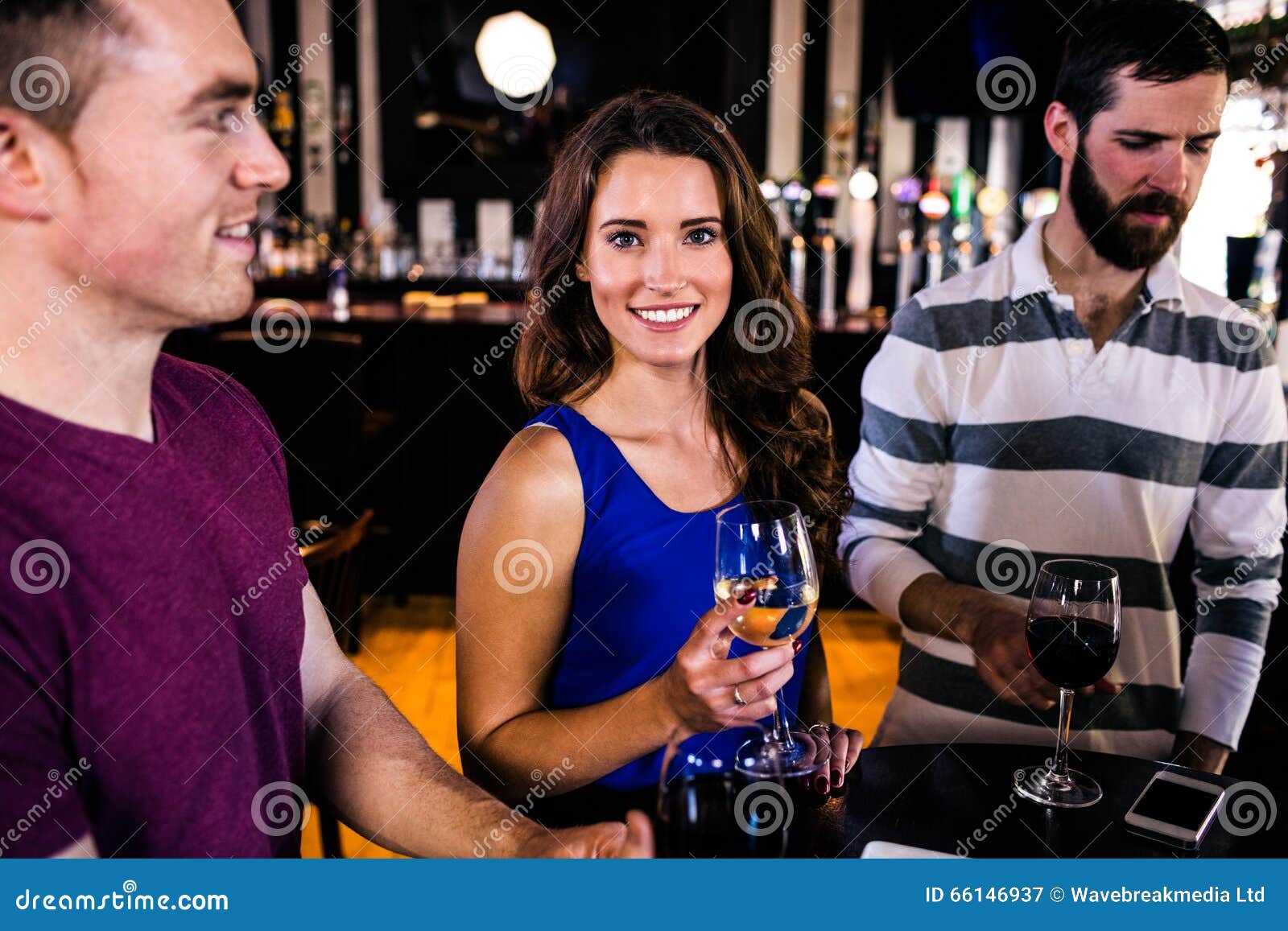 Friends Having a Glass of Wine Stock Image Image of high, leisure 66146937