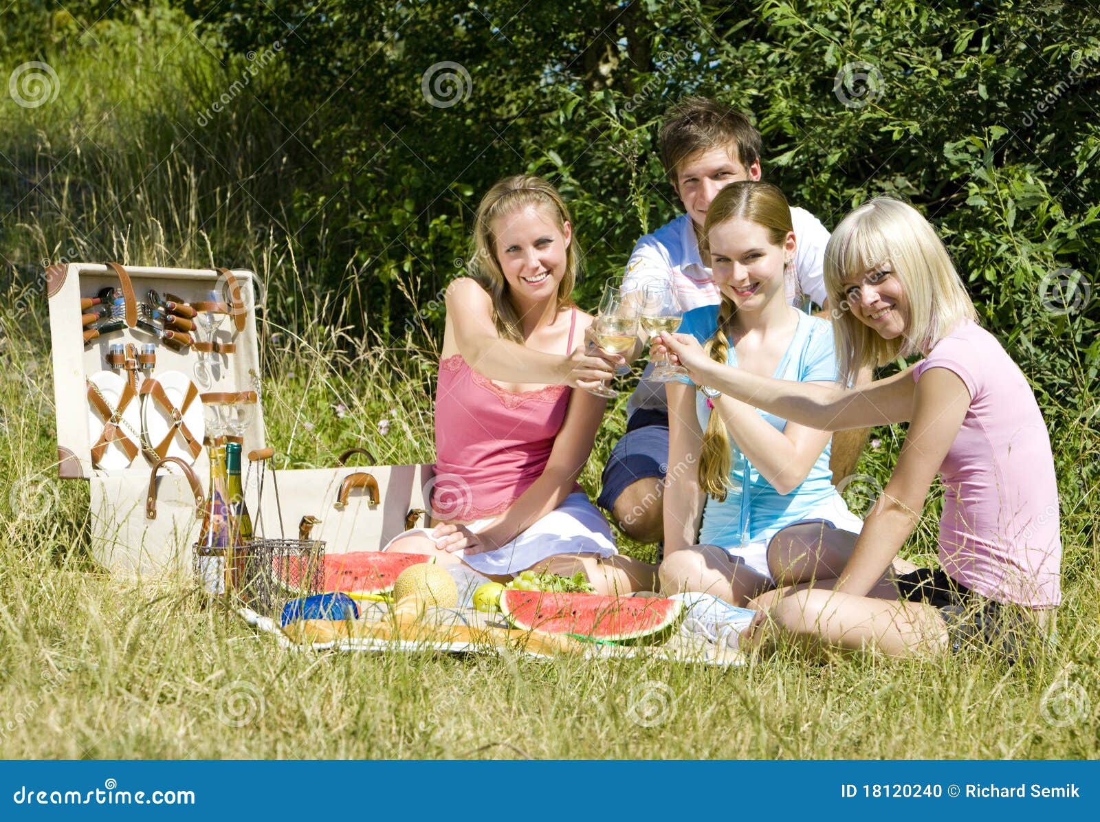 Friends at a picnic stock photo. Image of male, celebrating 18120240