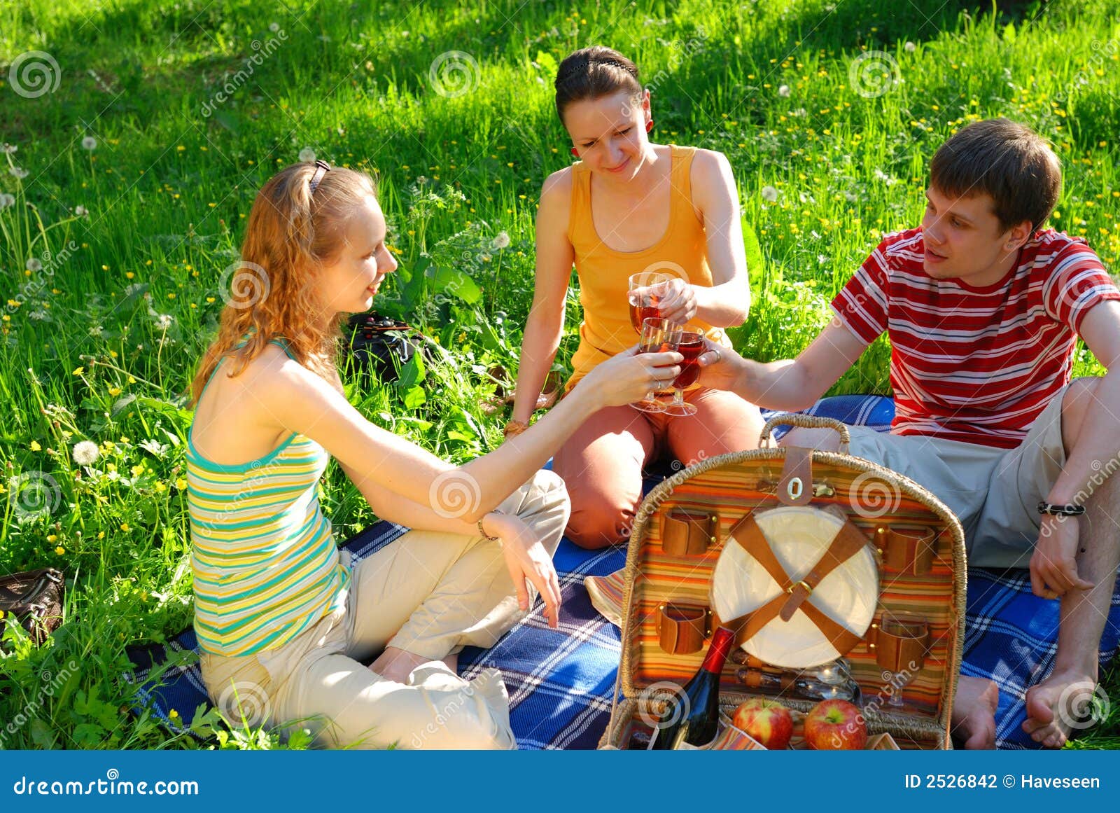 Friends on picnic stock photo. Image of recreational, laughing 2526842