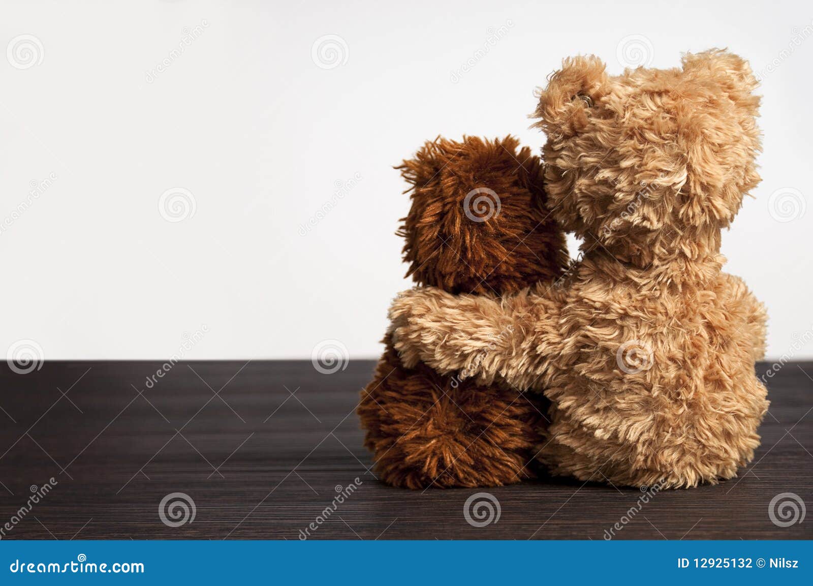 friendship 2 teddy bears holding in one's arm