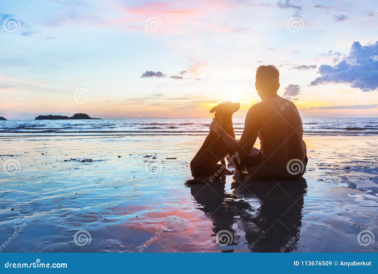 friendship concept, man and dog sitting together