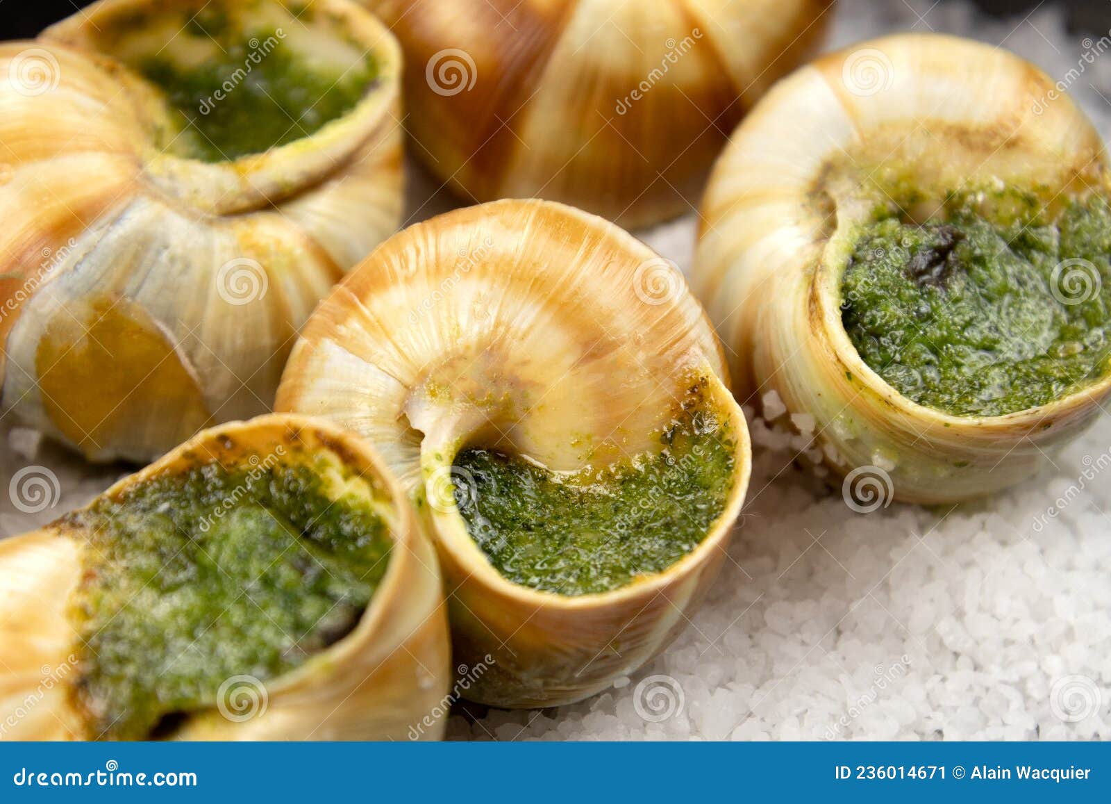 Frisch Gebackene Schnecken Mit Petersilie Und Knoblauchbutter Stockbild ...