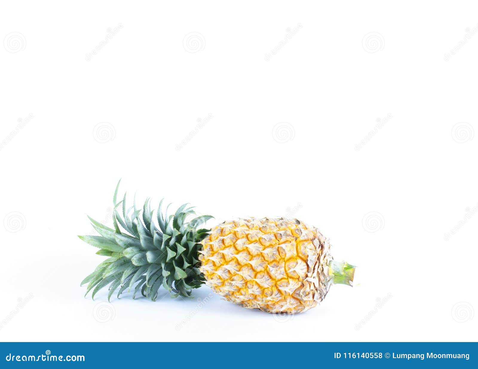 Frische Ananas Trägt Auf Weißen Hintergründen Mit Kopienraum Für Y ...