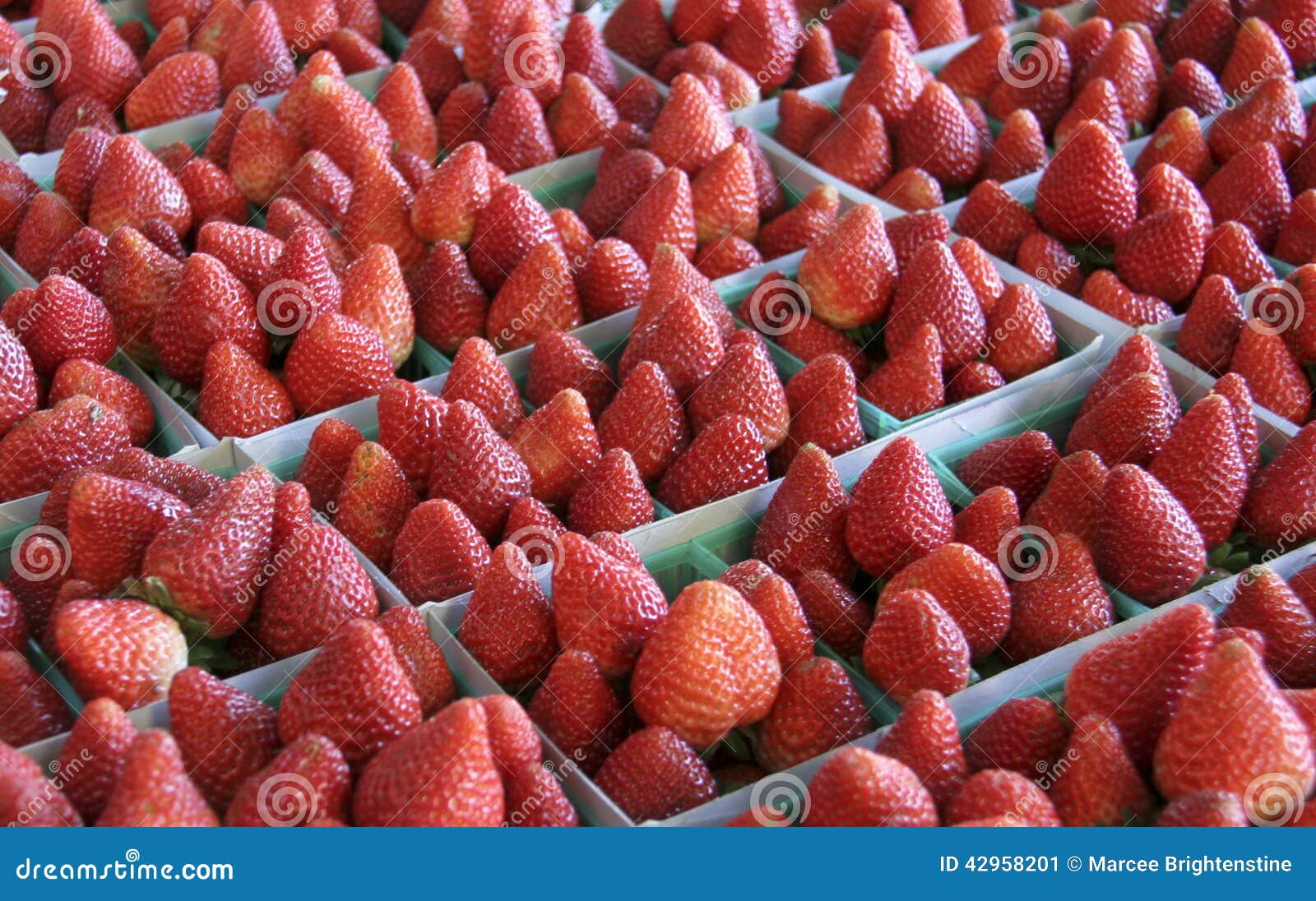 Frische Erdbeeren stockbild. Bild von saftig, frisch - 42958201